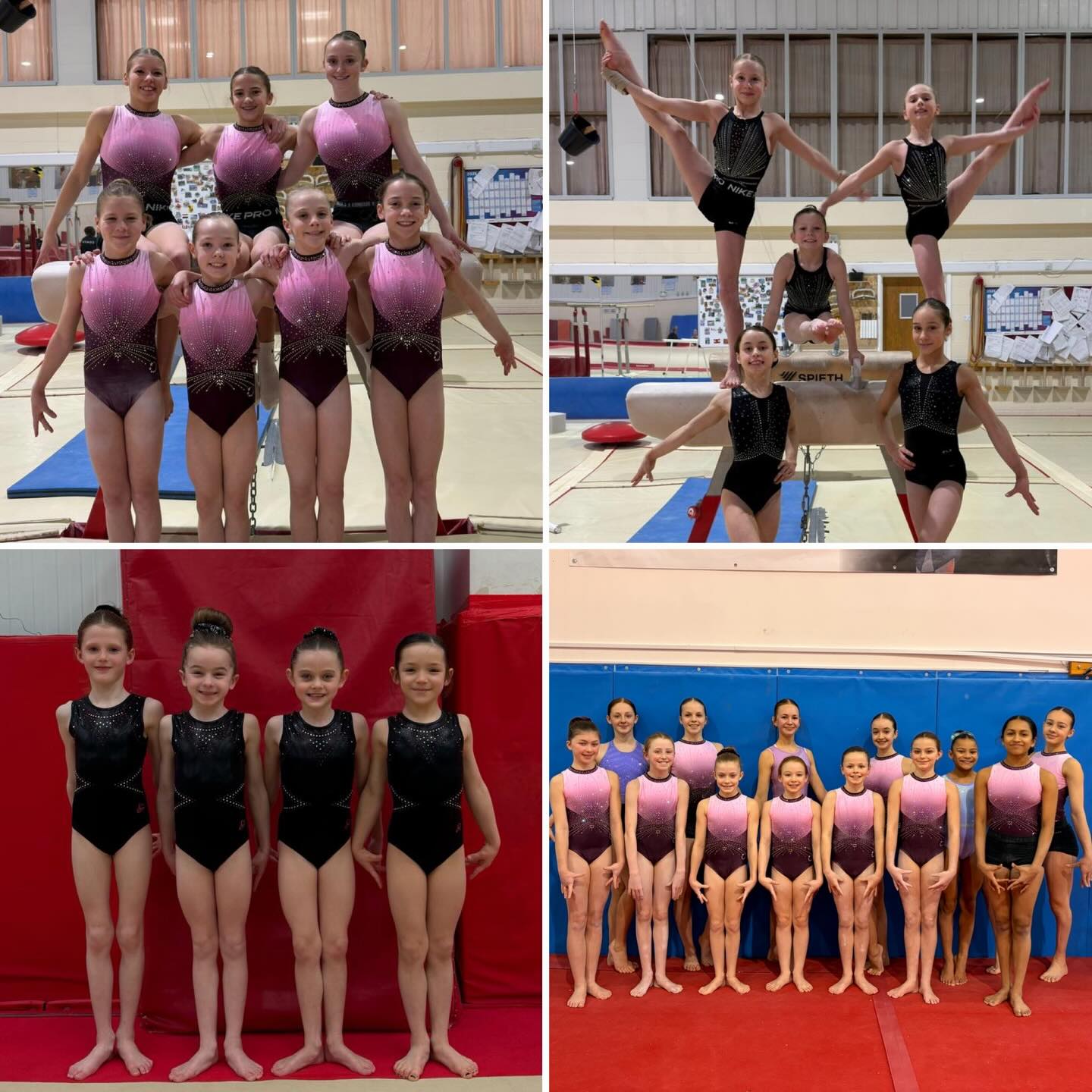 Congratulations to all the girls who have been selected for the 2026 County and Regional Squads ✨
What a fantastic achievement for both the gymnasts and coaches, you should all be incredibly proud of yourselves 💖