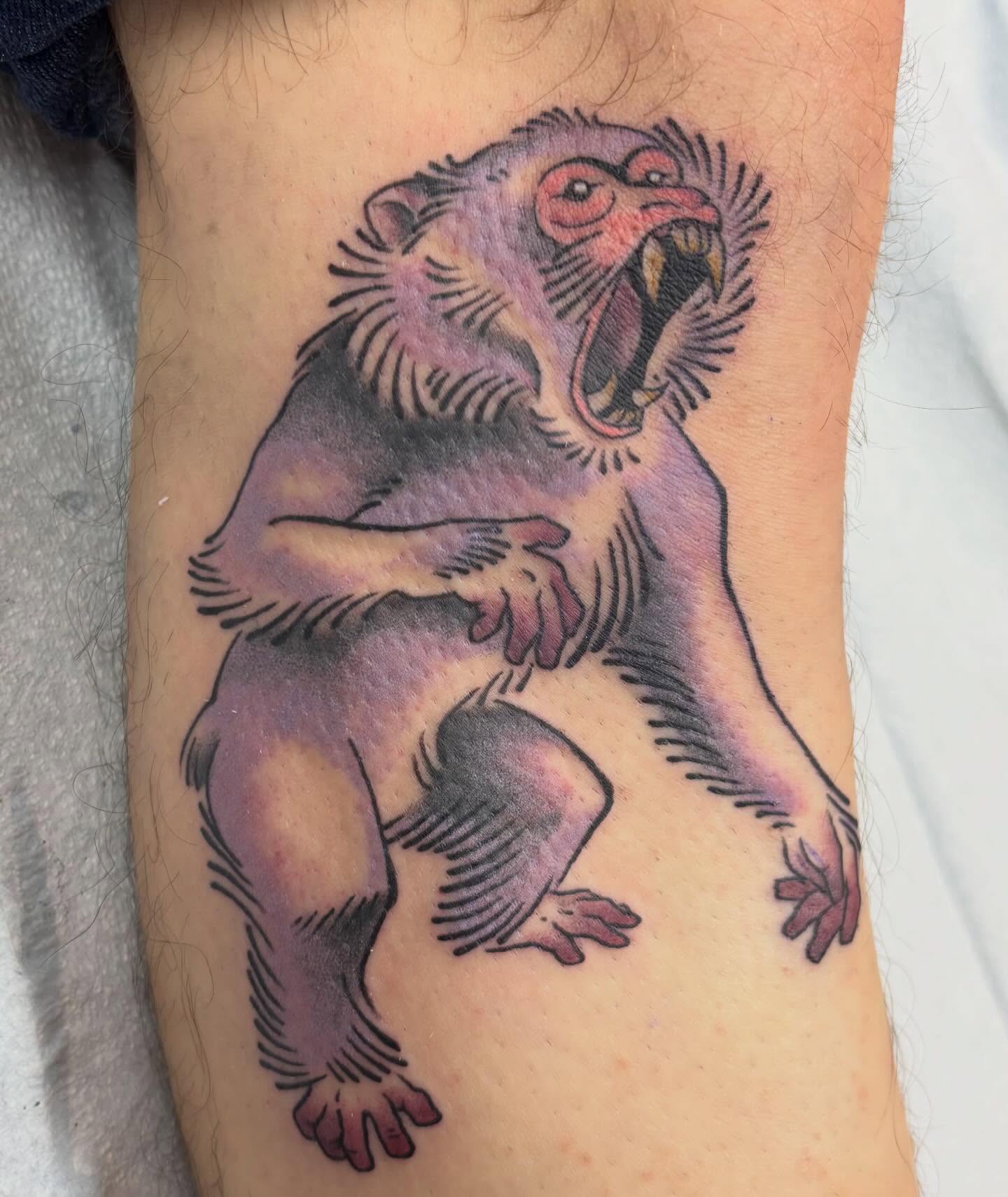 Japanese macaque, custom made! No filters and no AI ever, always 🐒❤️🔥 #tattoo #customtattoo #monkey #monkeytattoo #illustration