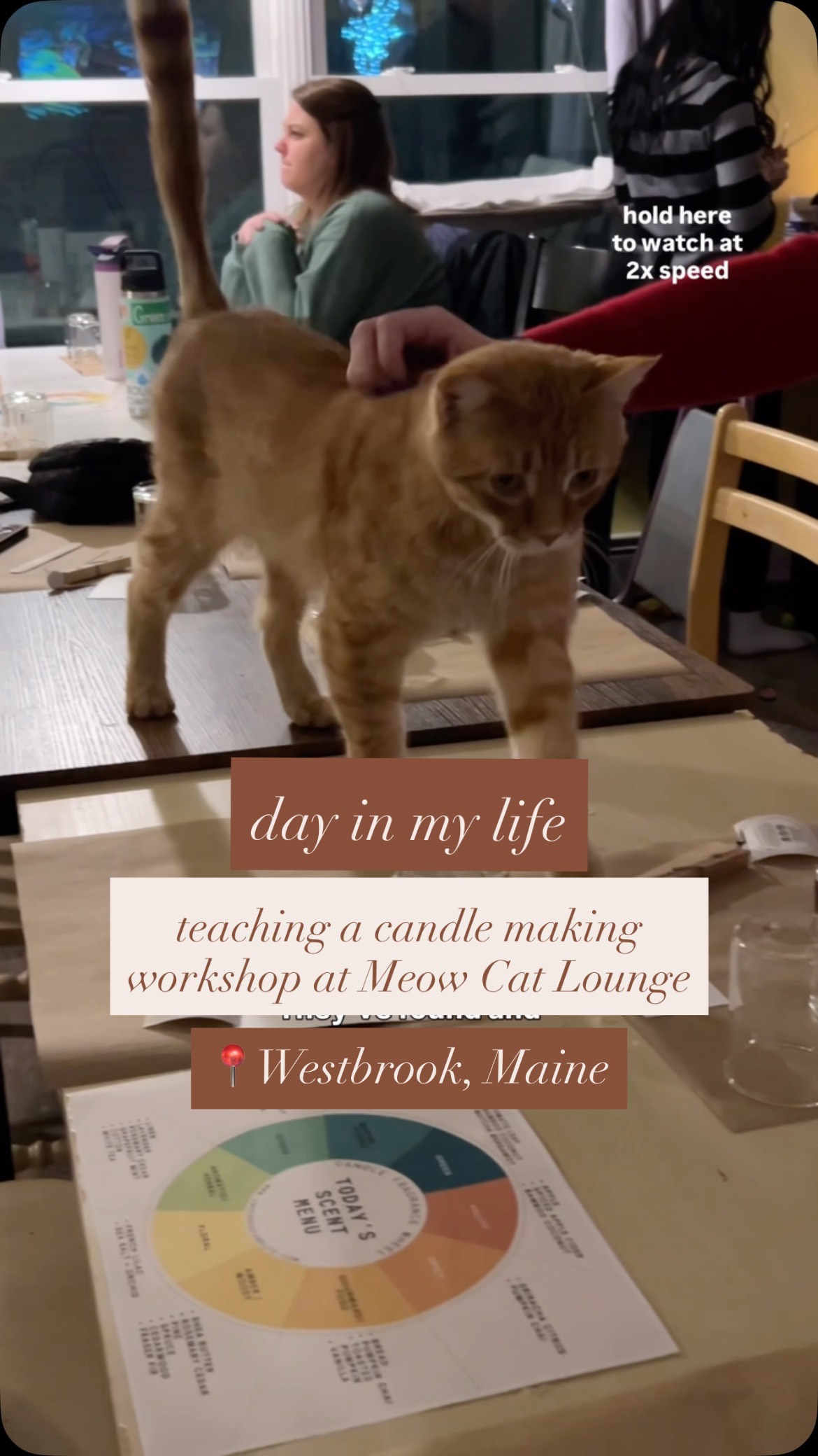 Best teaching assistants I’ve ever had 😽
@meowcatlounge