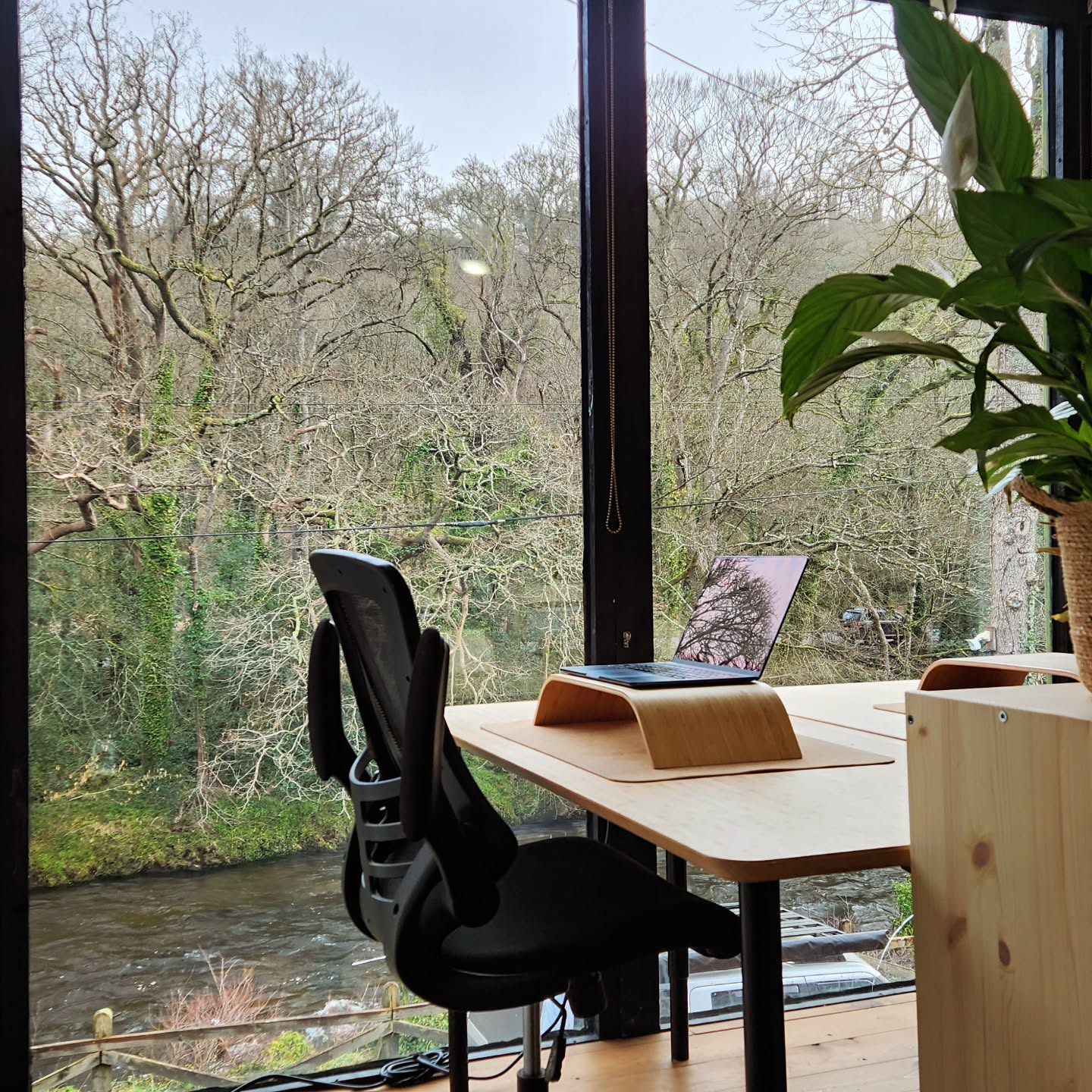 We're sure this desk has your name on it.
Come and find out.
Bio - trial day.
#trialday #CoWorkingDevon #bestindevon