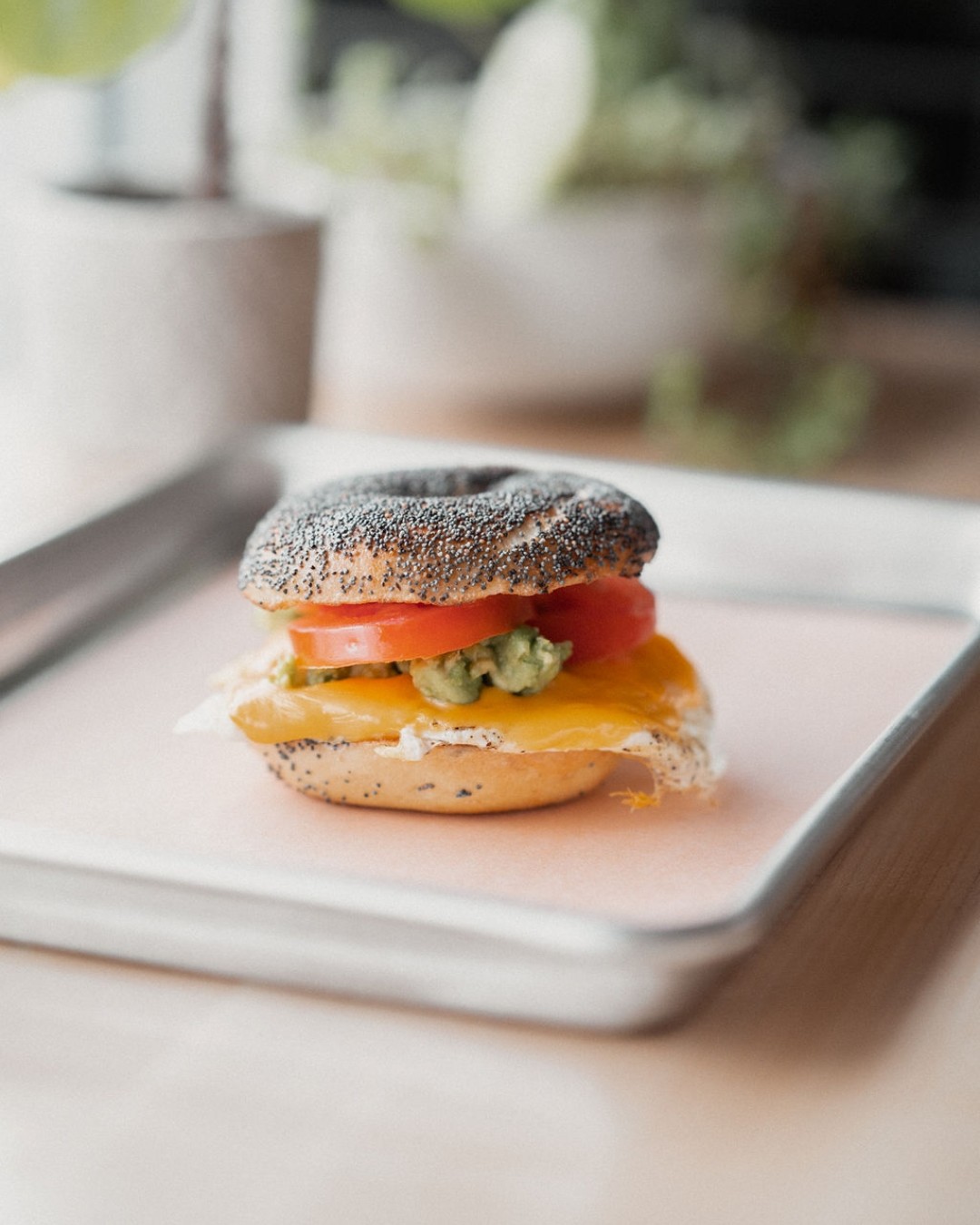 Meet the Cali 🥑☀️
Fresh tomato, creamy avocado, fluffy egg, and melty cheddar stacked on a fresh bagel. Bright, balanced, and seriously satisfying.
Simple ingredients. West coast vibes. 🥯✨
📍 258 Ave B South
🕗 Open everyday 8AM–3PM
#Saskatoon #YXE #SaskatoonEats #YXEats #SaskatoonFood #SupportLocalYXE #BrunchYXE #BagelLove #AvocadoLovers #EatLocalYXE