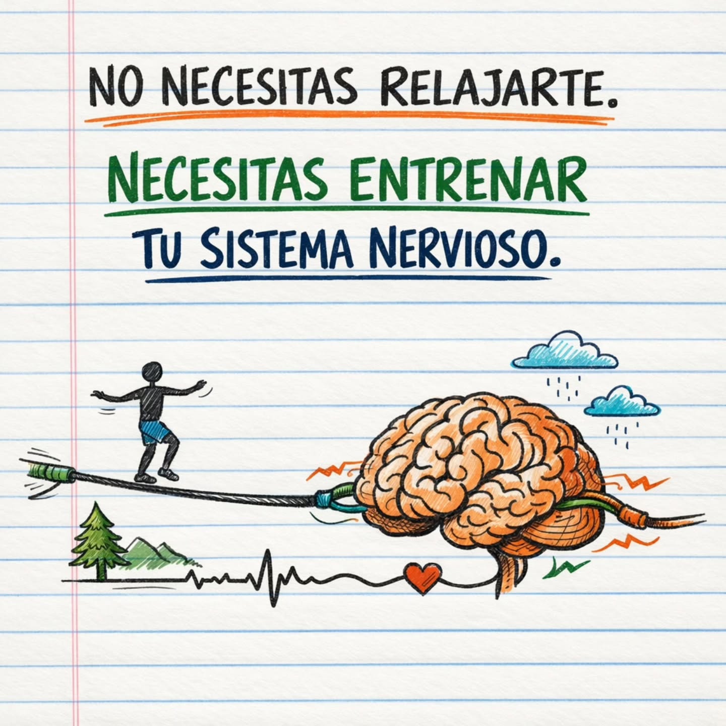 No olvides seguir nuestra cuenta @escuelaslackbogota
Es un hecho. El sistema nervioso nos pone nerviosos. Por eso es clave tomarla suave y flexibilizarnos.
Nuestro enfoque sistémico se basa en el fortalecimiento de los procesos cognitivos y sensibles. Aquí entrenas equilibrio para la vida.
Apoyamos a @somosmovimientocol con nuestras experiencias y con este lindo aporte.
Lee el carrusel hasta el final y compártelo con alguien que le pueda interesar.