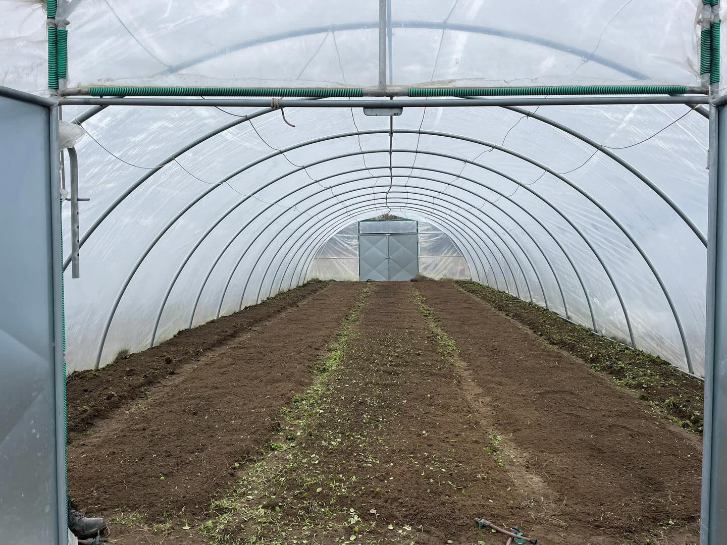 Unser Folientunnel ist nun dank unserem Gartenteam bereit für Salat, Radieschen und frühreife Möhren #folientunnel #frühreif #möhren #radieschen #solawi