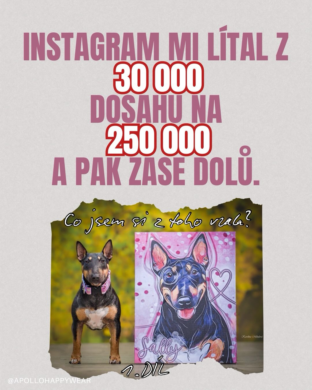 Kdo z nás někdy nebojoval s dosahy nebo si myslel, že algoritmus je náhoda? 🤔
Všechno má svůj důvod. Nejsem markeťák, ani specialista na socky, ale pohybuji se v tom už několik let. A hned se dvěma účty. Občas je to nahoru, občas dolů. A já bych se s vámi tentokrát ráda podělila o fakta, která jsem za ty roky postřehla a která mám ověřená.
Takže jak na to, co funguje a co naopak? Vítejte u prvního dílu ❤️
____________
Algoritmus je základní matematika. Když lidé reagují, ukážeš se víc lidem. Když nereagují, stáhne se distribuce.
1️⃣ Nastav si správně BIO. Můžeš mít virální reels, ale špatný BIO = žádný růst.
▪️ je to jeden z nejzákladnějších pilířů profilu, který rozhodují o tom - zda člověk, který na tebe klik, ti dá nebo nedá follow
▪️ BIO musí odpovídat na: Co tady najdu? Pro koho to je? Proč bych měl zůstat? Co mám udělat teď?
▪️ jasná identifikace a specializace = víc důvěry X největší chyba = dělám všechno pro všechny
▪️ klíčová slova pro vyhledávání jsou základ, dneska má instagram větší váhu než Google
▪️ BIO musí mít směr / CTA - Objednávky do DMs. Volné termíny ->. Rezervuj si místo. Napiš mi.
Nejčastější chyby?
Citáty bez významu, příliš obecné věty, žádná specializace, žádná výzva k akci, přeplácané emoji, neaktuální info.
Jako příklad jsem použila profily dvou tvůrců, která mám ráda a osobně je aktivně sleduji (svolení samozřejmě mám ✌️).
Moje poznámky k @doggiespot_cz ❤️
▪️ název neříká jasně, že jde o obchod (chybí klíčová slova jako obchod / e-shop)
▪️ BIO obsahuje jen základní nezajímavý popis, v člověku to nevzbudí akci k nákupu, není prodejné
▪️ chybí důvod sledovat profil / specializace, zajímavost
▪️ žádný jasný benefit pro zákazníka
▪️ otevírací doba zabírá zbytečně 2 řádky a celkově prostor, nedůležité info pro sledující a nakupující online
A poznámky k @lifeofpointersisters ❤️
▪️ dvě dlouhá jména, nejasný směr = sledujícímu je jedno papírové jméno
▪️ co na profilu dostanu - edukaci? Trénink? Lifestyle?
▪️ chybí silnější emoce nebo konkrétní přínos pro sledující
▪️ odkaz působí vyloženě prodejně a né hodnotně
Zbytek vysvětlení v komentářích ⬇️
#instagramtipy #jaknasocky #tvorbaobsahu #socialnisite #jaknadosah