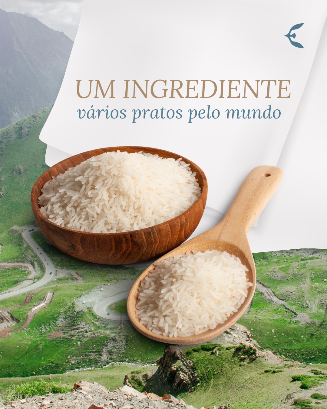 Viajar também é descobrir como um único ingrediente pode contar histórias diferentes.
Com técnicas, temperos e tradições locais, cada cultura transforma o arroz à sua maneira, e o resultado é sempre uma obra à parte. Cada prato carrega identidade e camadas de história em si.
O mundo se revela em muitas línguas - e a gastronomia é a mais universal delas.
Vem com a gente explorar com todos os sentidos o seu próximo destino!