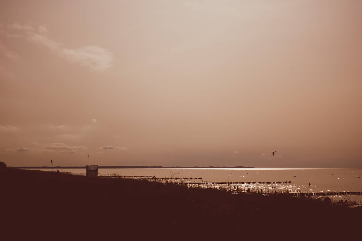 Insel Poel bei Tag
Sommer
#Poel2022
#2022
#inselpoel
#ostsee
#halbinselpoel
#fotografie