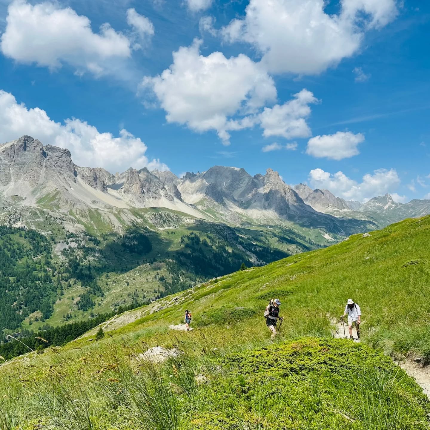 ☀️ Extra Passagetocht in de Zomervakantie! ☀️
📅 25 juli 2026 t.e.m. 1 augustus 2026
Ben jij leerkracht of werk je in een job waarbij je gebonden bent aan de schoolvakanties?
Dan is dit een zeldzame kans.
Speciaal voor de zomervakantie organiseren we een extra Passagetocht. Een unieke kans om mee te reizen in een periode waarin dat anders zelden mogelijk is. Of dit in de toekomst nog eens zal lukken? Dat kunnen we niet beloven…
Een week waarin we letterlijk én figuurlijk in beweging gaan.
Wandelend door de bergen ontstaat ruimte. Ruimte om stil te staan. Om te delen. Om los te laten. Om richting te vinden.
🌿 Wat mag je verwachten?
– Dagelijkse wandelingen in een krachtig en prachtig berglandschap
– Professionele kwaliatieve therapeutische begeleiding in groep
– Tijd voor reflectie én verbinding
– Verdieping in een veilige, warme setting
– Een week ruimte, heling en plezier helemaal voor jou
Voor wie tijdens het schooljaar weinig ruimte vindt om echt stil te staan, kan dit een transformerende week zijn.
🌈 Voel je dat dit je benieuwdheid opwekt? Je doet wegdromen?
Contacteer me dan vrijblijvend op www.passagetochten.fr voor extra info. Ik neem graag de tijd om je vragen persoonlijk te beantwoorden.
Liefs,
Karlien
🪷
📸 ❤️ Passagetocht Juli '25
#Passagetocht #Zomervakantie2026 #FranseAlpen #Wandelreis #Groepstherapie PersoonlijkeGroei