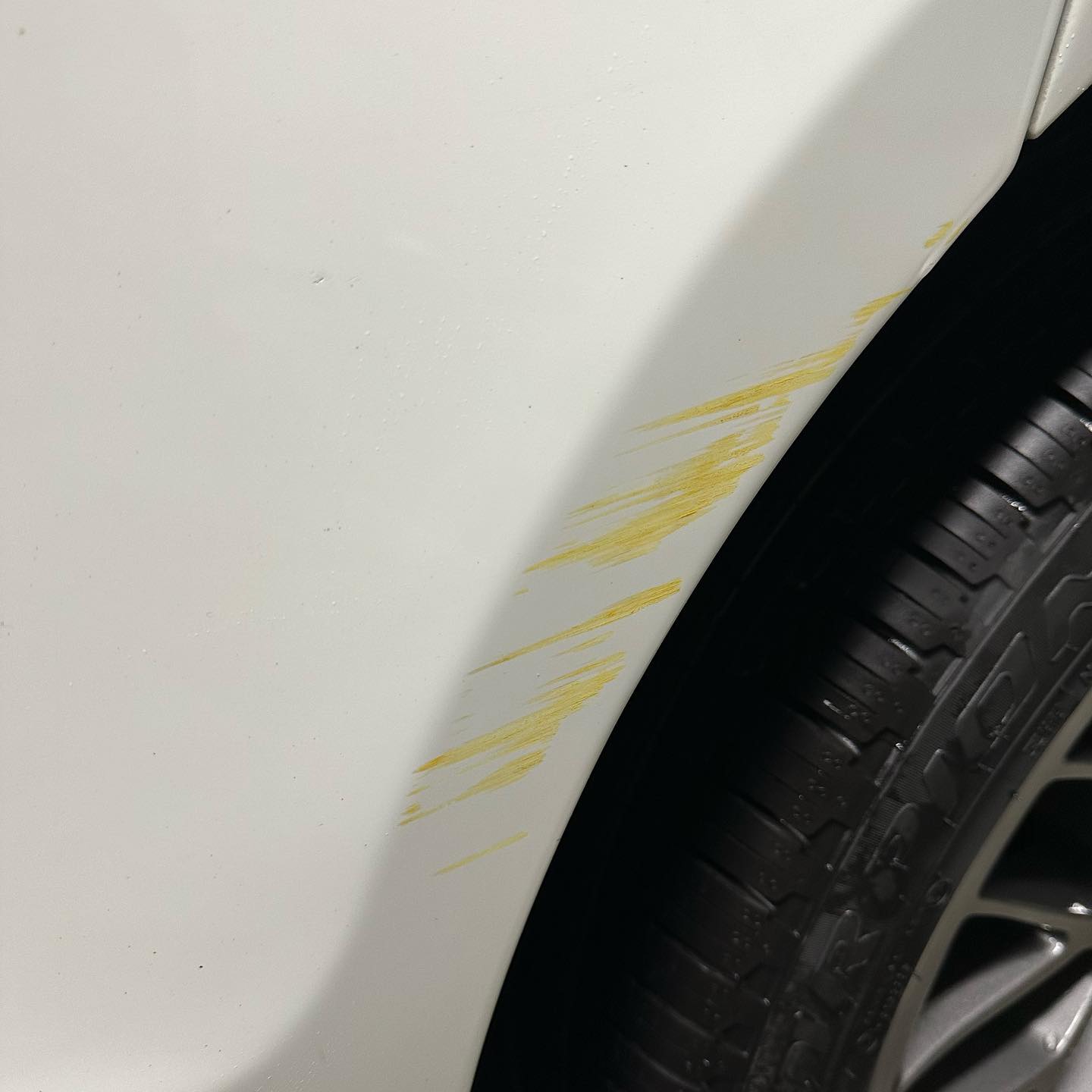 We make those annoying scuffs on your car disappear! 👻 check out these before and after photos 🤩
Visit our website (link in bio) and book today!
.
.
#autodetail #autodetailer #autodetailing #clean #fresh #flawless #carculture #simplyclean #carlifestyle #dailydriven #luxurylifestyle #luxury #lux #interiordesign #exteriordesign #sanfrancisco #luxury #restoration #exteriordesign #restoration #detailing #carwash #bayarea #carcare #mobilecarwash #cargloss #carshine #auto #bayarea