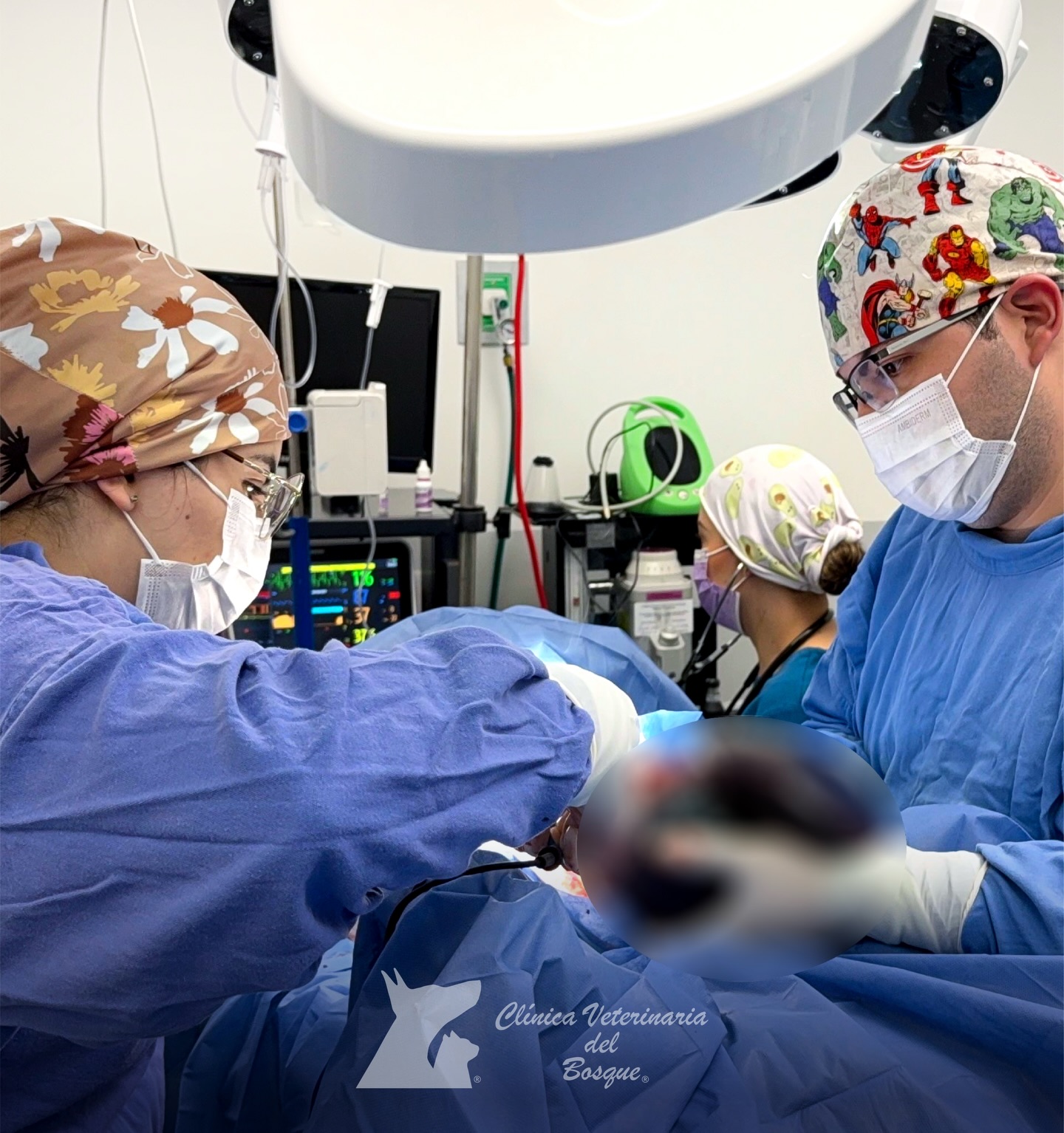 💙🩺Ejerciendo con amor y pasión…
Cada procedimiento que realiza nuestro equipo de médicos se hace con protocolos de seguridad, amor y compromiso por nuestros pacientes.
#veterinario #veterinaria #hospitalveterinario #cirugía