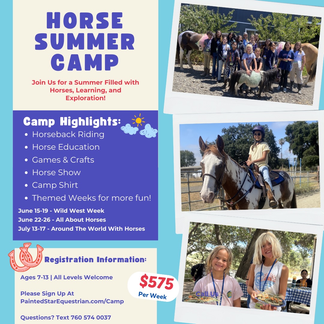 ☀️🐴 Summer Horse Camp 🐴☀️
Saddle up for the best weeks of summer!
🤠 Wild West Week – Rodeo fun & frontier skills while exploring the history of the American West.
🐎 All About Horses Week – Our classic camp experience to learn everything you need to know about riding & horsemanship.
🌍 Around the World with Horses – Discover horse breeds, disciplines & equestrian cultures from across the globe.
✨ What makes our camp special:
• Small riding groups
• A riding lesson every morning
• Learn to groom, saddle & understand horse care and management
• Fun horsemanship activities, crafts & games
• A barn full of goats, pigs & baby chicks to love on, too! 🐐🐖🐥
Hands-on learning • Confidence building • Unforgettable memories
Spots fill fast — come ride with us! 🌟
Ages 7-13.