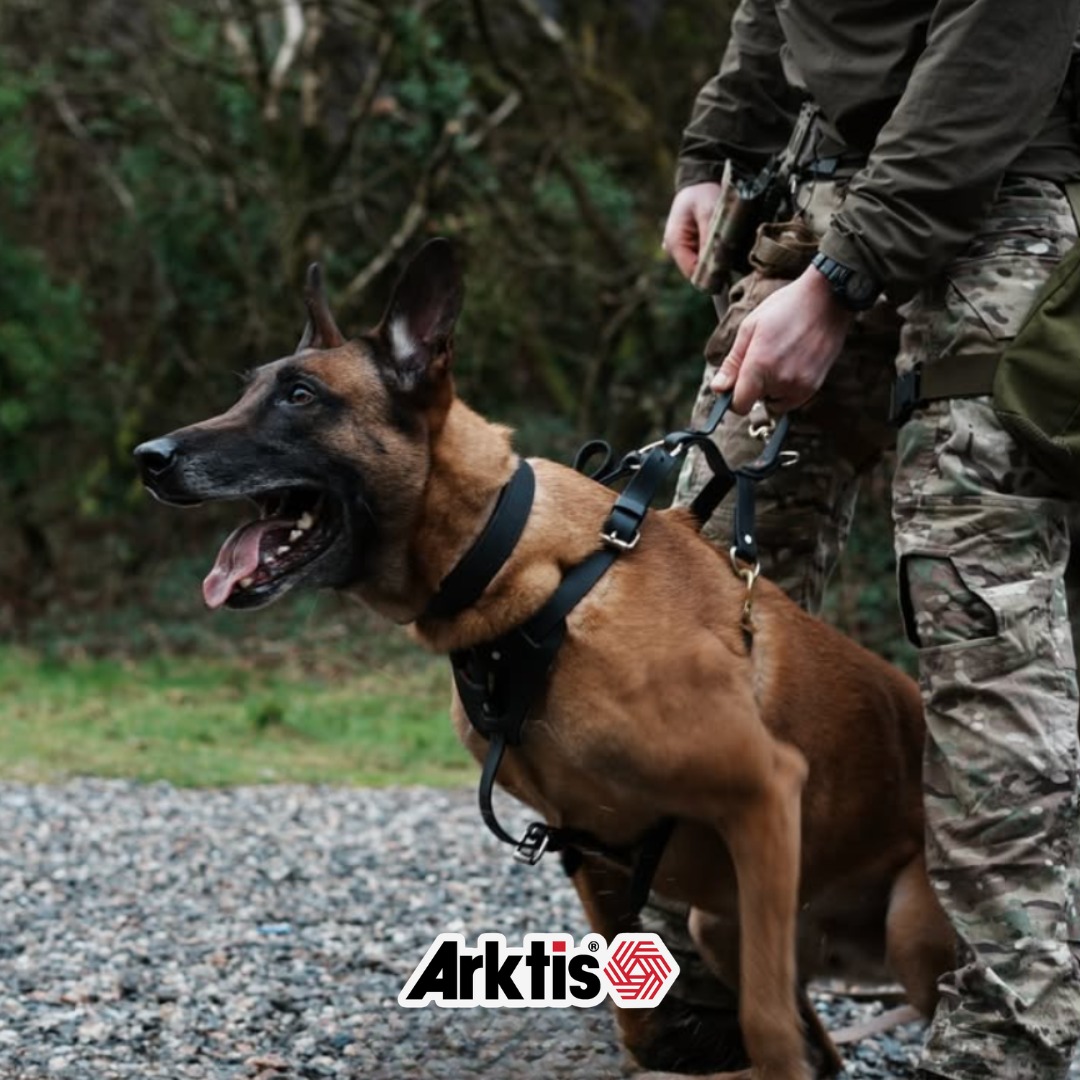 Sur le terrain, la connexion entre le maître et son K9 fait toute la différence.
Confiance absolue. Réactivité immédiate. Engagement total.
Chaque mission exige un équipement fiable, robuste et conçu pour durer.
Des conditions les plus exigeantes aux interventions les plus sensibles, rien n’est laissé au hasard.
✔️ Résistance
✔️ Ergonomie
✔️ Performance terrain
✔️ Fiabilité professionnelle
Parce que ceux qui protègent méritent le meilleur.
Tactical Gear – Ready when it matters.
#TacticalGear #K9Unit #WorkingDog #ProfessionalGear #FieldReady #Discipline #Loyalty #Arktis #gearup #tacti_calgear #outdoorsman