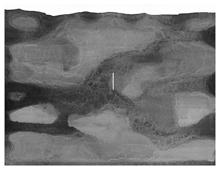 Emma Ulen-Klees (b. 1992, Elysian, MN) is a multidisciplinary artist and writer whose work centers the fragmentation and transformation of landscape. Her individual but interconnected projects come together to mourn extinction and absence, magnify the accumulation of plastics, and interrogate the distortionary nature of western cartography, while still allowing for the beauty and awe vital to emotional relationships to place.
Ulen-Klees earned a Printmaking BFA from California College of the Arts (2014), and MFA from Cornell University (2020). Past awards include the Jerome Foundation Early Career Printmaking Fellowship, Ralls Scholarship in Painting, Yozo Hamaguchi Scholarship in Printmaking, as well as the Kala Art Institute Emerging Artist Residency. She has exhibited at the Missoula Art Museum (Missoula, MT), Zolla/ Lieberman Gallery (Chicago, IL), Jack Hanley Gallery (New York, NY), Safe Gallery (Brooklyn, NY), Anglim Gilbert Gallery (San Francisco, CA) as well as in Oakland, Berkeley, CA, and Ithaca, NY. Internationally she has exhibited in Osaka, Japan and Hjalteyri, Iceland.
Emma Ulen-Klees is a multidisciplinary artist and writer focused on landscape fragmentation and environmental change. Through archiving, microplastics, extinct flora, and cartography, her work mourns absence, tracks plastic as an Anthropocene marker, and questions how maps distort what we think we know. Extinction. Microplastics. Distorted maps. Emma Ulen-Klees turns fragmentation into evidence, and insists beauty still matters. @emma.ulenklees