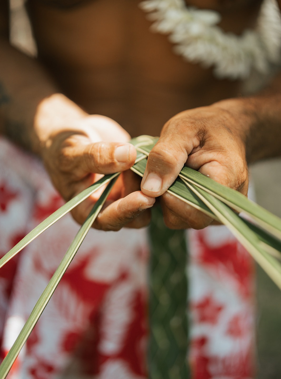 El arte del tejido polinesio, un saber ancestral en tus manos.
Crea objetos únicos que capturan el alma de las islas y llévate un pedacito de este paraíso contigo. Cada fibra cuenta una historia, cada nudito perpetúa una tradición.
¿Y tú, cuál será tu creación polinesia?
.
The art of Polynesian weaving, an ancestral craft in your hands.
Create unique pieces that capture the soul of the islands and take home a piece of this paradise. Every fiber tells a story, every knot carries on a tradition.
What will your Polynesian creation be?
📷 @conradboraboranui
#MoemoeaTravel #FrenchPolynesia #PolinesiaFrancesa #PolynesianCraftl #AuthenticTravel#LoveTahiti