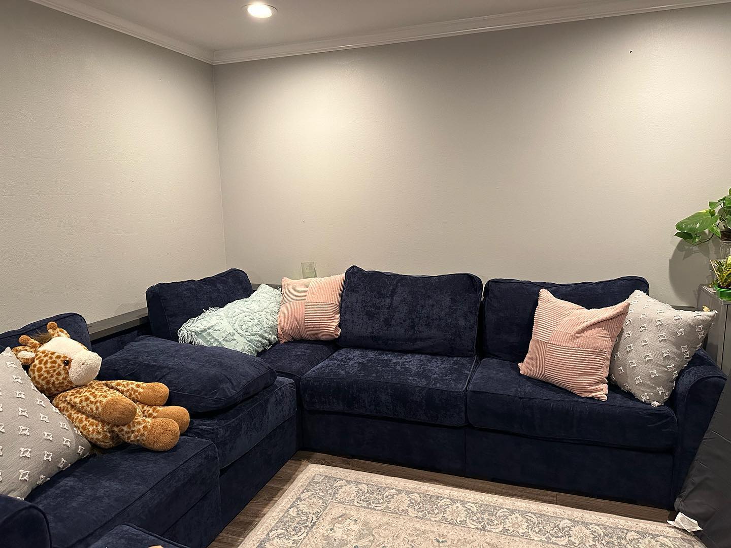 New couch covers finally on….. all day project from taupe to blue
