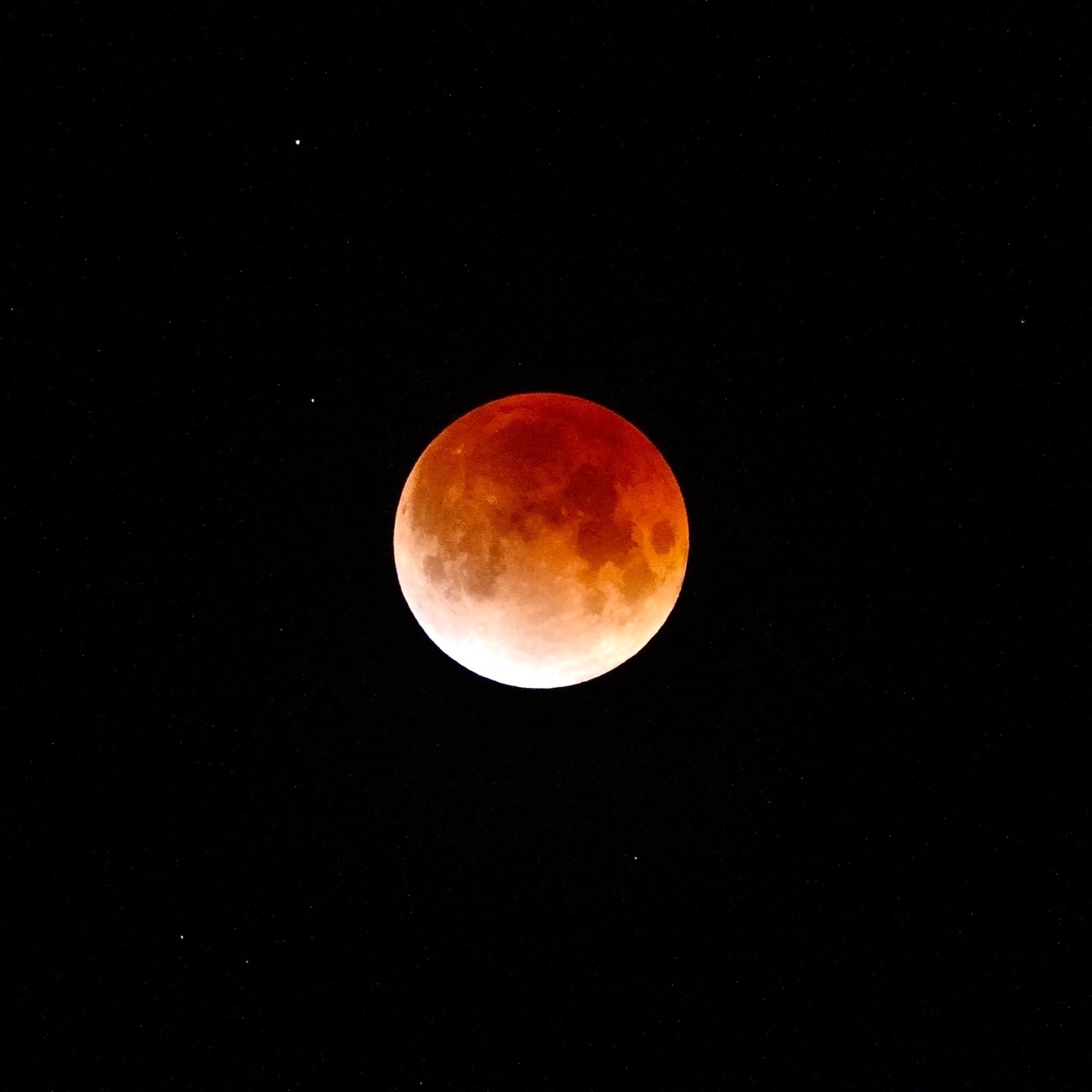 Blood moon. With gratitude to @pepper_trail