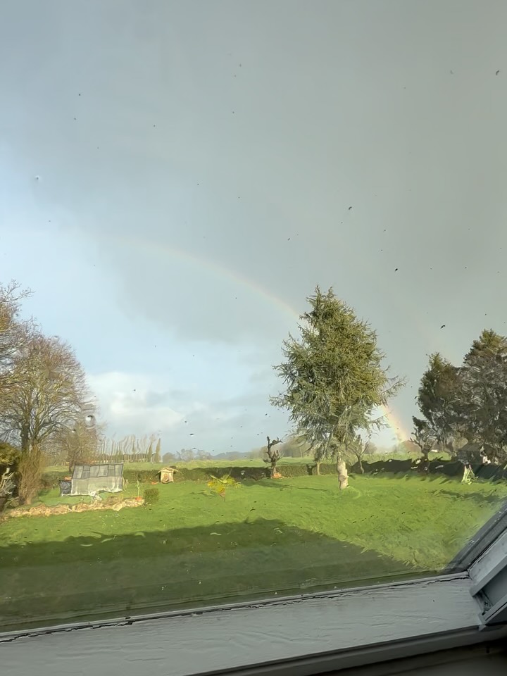 Late winter is melding into subtle signs of spring here in Brittany.🪻
I saw my first ever hailstorm with a double rainbow. (I had always associated rainbows with just rain.) it reminded me of hope.
Emerald tender leaves are unfurling from what appear to be lifeless husks of last season’s hydrangea, another powerful example of the cycle of life. Blooms that arrived seemingly suddenly, as if overnight, are dotting the landscape with color. There’s a raw earthy fragrance of soil and rain, and an energy that’s shifting, along with the weather—65 and sunny the past two days!
The foals who first captured my heart six months ago and offered a constant source of joy and cuddles were separated from their mamas. I’ve grieved their absence—how quickly and deeply some creatures become a part of us.
As the winter recedes, I am reminded of a favorite poem:
“And don’t think the garden loses its ecstasy in winter. It’s quiet, but the roots are down there rioutous.”
—Rumi
#nomadinginfrance #twinning #nomading #wanderlust #francetravel #normandy #lachapellesurdun #franceadventures #adventuresinfrance #lifeabroad #coach #coaching #lifecoaching #lifecoach #CôtesdArmor #executivecoaching #executivecoach #moonlightmusings #latewinter #springiscoming
