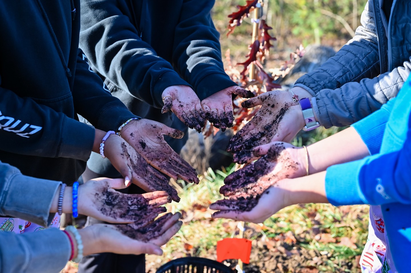 “The best time to plant a tree was twenty years ago, the second best time is right now.” —Chinese proverb
A few weeks back our high school Earth & Environmental Science students worked on a project to plant trees on our Wilderness Campus.
The trees were a gift from @nc_trout_unlimited following a massive community planting day with @river.link to restore areas hit by Hurricane Helene.
Want your students to have this type of hands on learning experience? We are currently accepting applications for the 26-27 school year! Learn more and apply here: https://www.fernleafccs.org/tour-apply