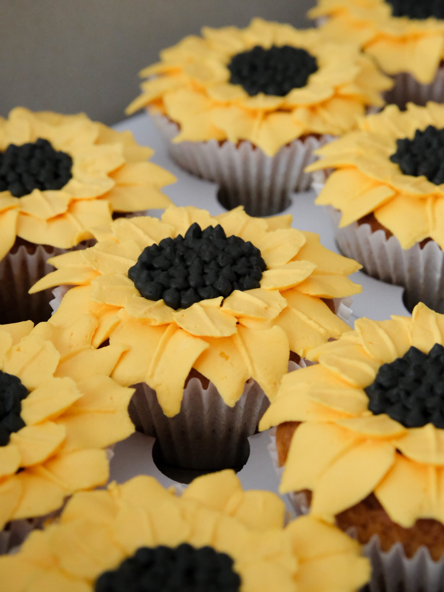 Sunflowers π»
I havenβt posted cupcakes in awhile so hereβs one for gram ! π
#cupcakes #onlinebakery #customcake
