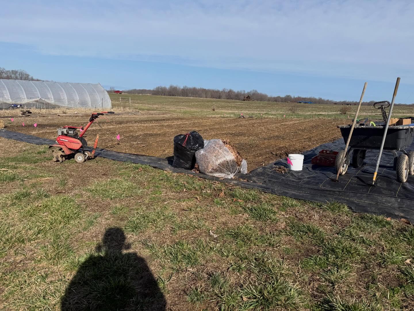 Still out here, trying to figure out how to give plants what they want and need to thrive. The farm store is stocked with chicken and seeds are germinating in their preferred environments. It’s still a great time to sow lettuce seeds directly on the ground in middle Tennessee if you haven’t gotten around to it yet. 💚💛