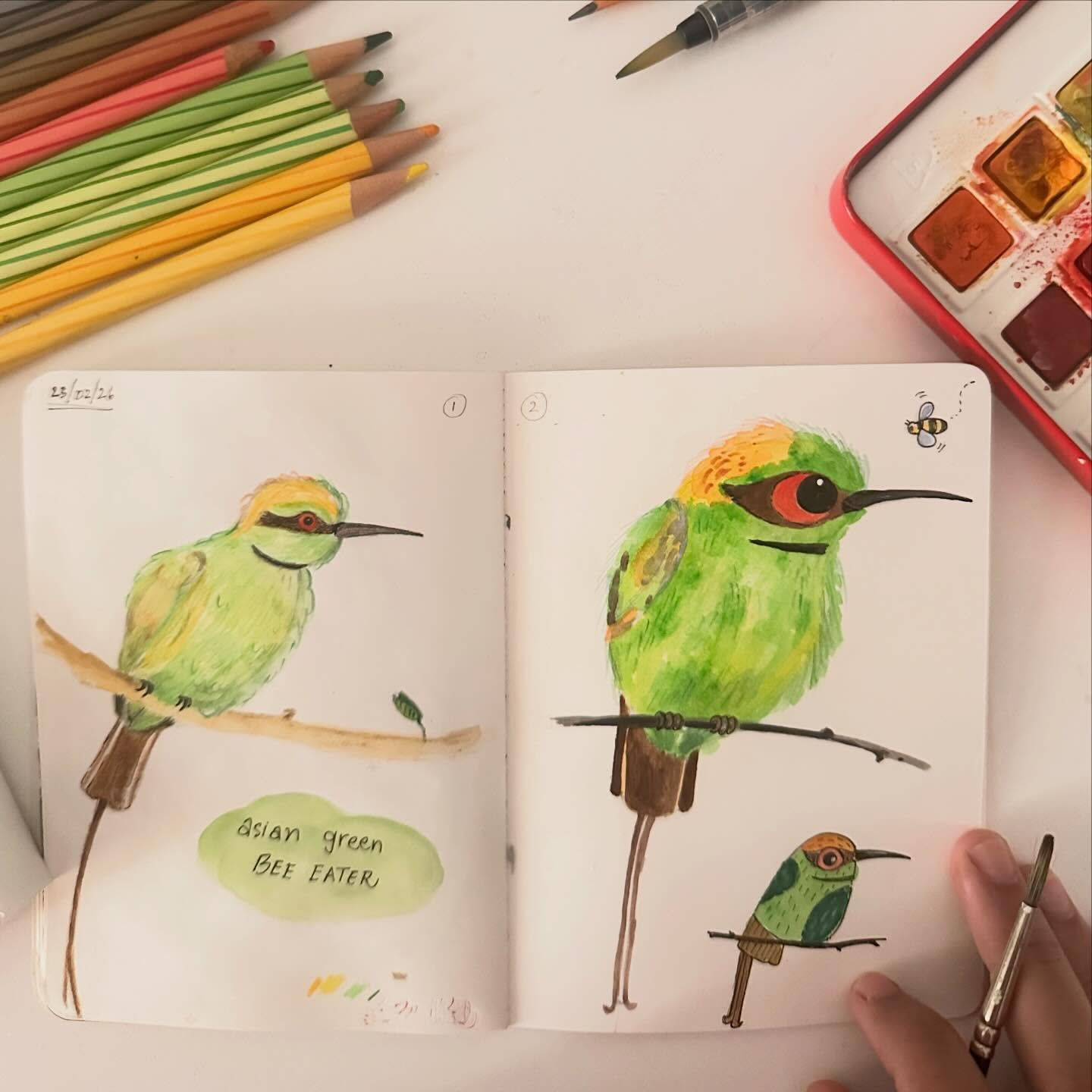 Asian green bee eater 💚
Left drawing was made looking at a photo reference with the intention of getting to know the bird - colour blocks, proportions and features.
Right drawing was made without a reference and playing with the features and proportions while keeping the colours true to the actual bird
The tiny one on the bottom right is an extremely simplified form made to recall the colours without reference