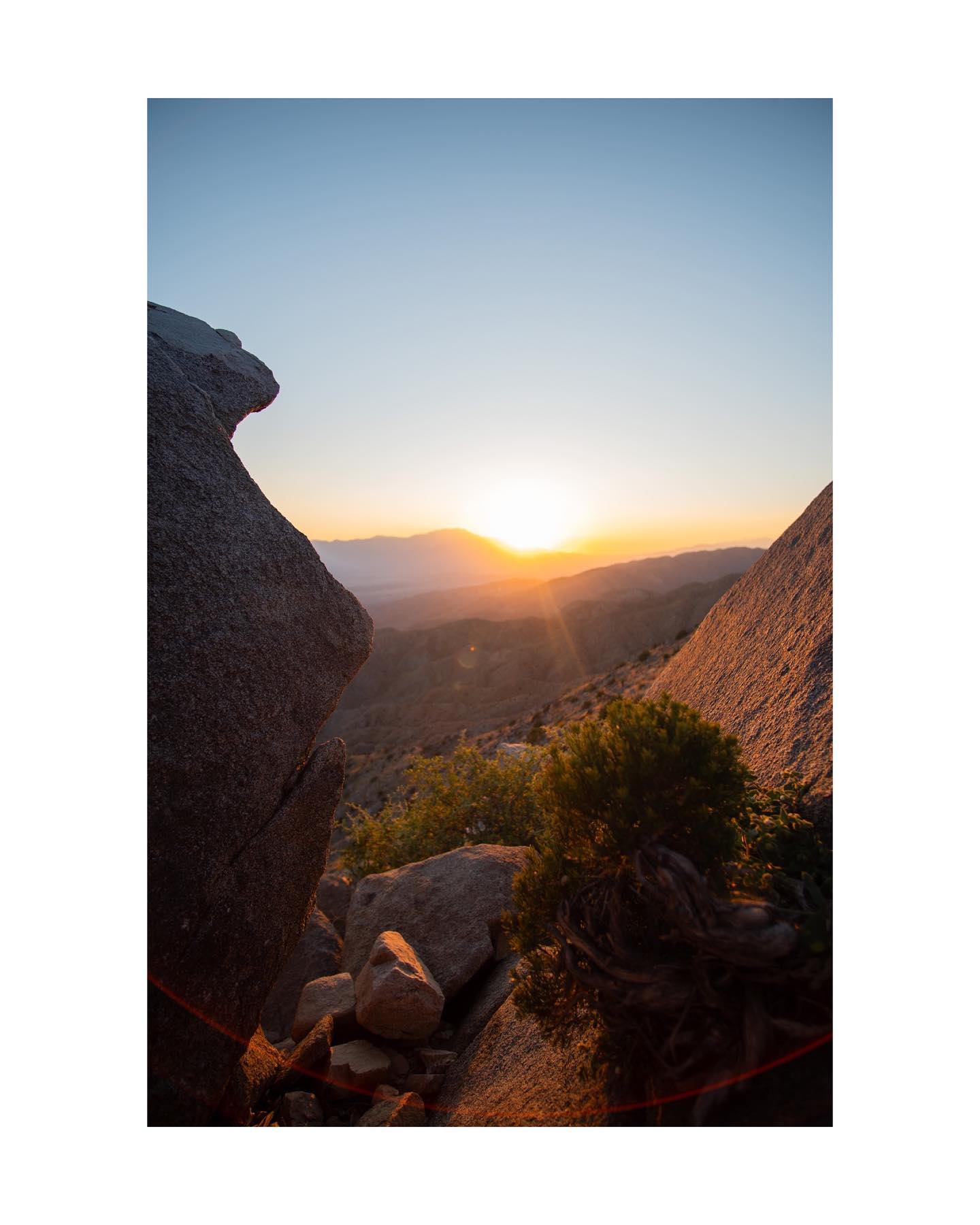 #joshuatree #joshuatreenationalpark #sunsetphotography