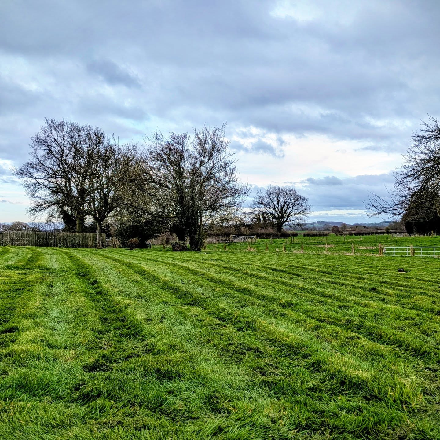 Signs of spring are popping up here at The Moorhead Bed and Breakfast 🌼!
Daffodils are blooming, the lawn is freshly mowed, and we're feeling hopeful for sunnier days ahead ☀️.
Come and soak up the fresh Shropshire countryside vibes with us!
#SpringVibes #ShropshireCountryside #DaffodilSeason #SpringIsHere #bedandbreakfast