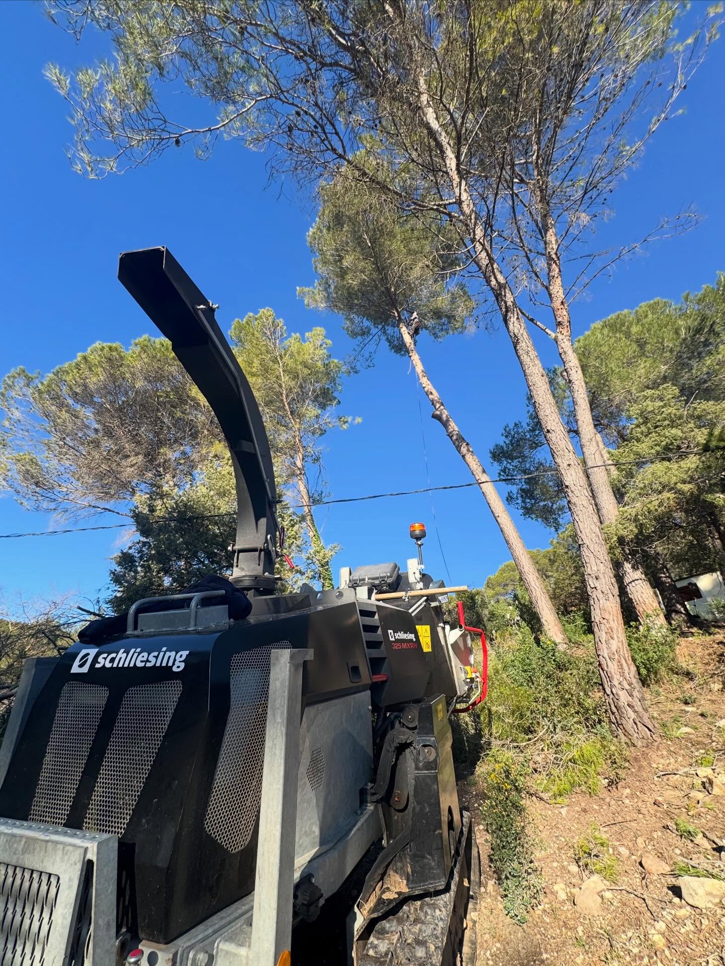 Démontage de plusieurs pin d’Alep avec broyages des branches sur place et le bois couper en 50cm
Nous répondons à tout type de demande grâce a nos équipements !!!
#élagage #elagueur #treework #treeclimbing #woodchipper @schliesing_worldwide @laurentastierschliesing
