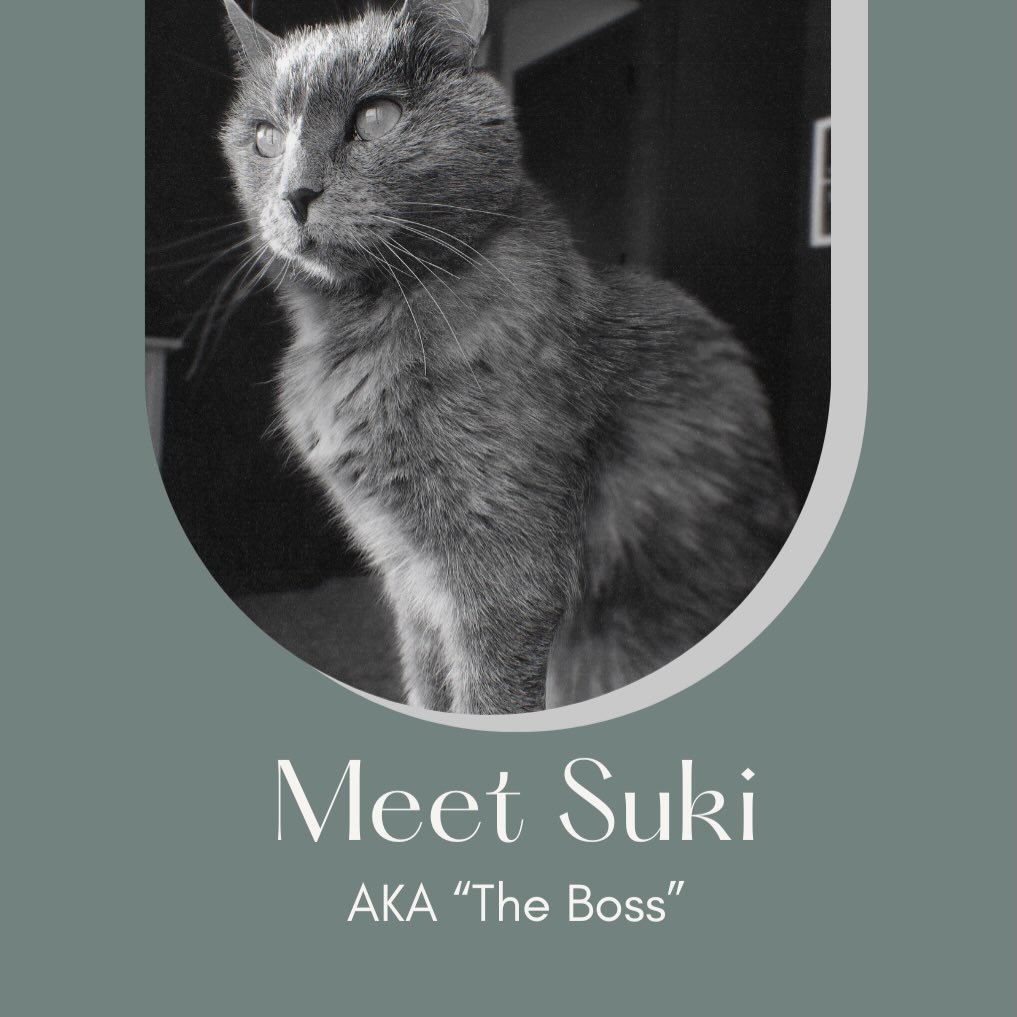 Suki is my unofficial co-therapist and work-from-home companion. You may occasionally see her supervising from a nearby spot during sessions. While she takes her role seriously, her contributions focus on creating a calm, welcoming environment by modeling comfort and rest. And yes—your emotional support sidekicks are always welcome to join the conversation.
#therapy #mentalhealth #cats #catsofinstagram #emotionalsupportanimal