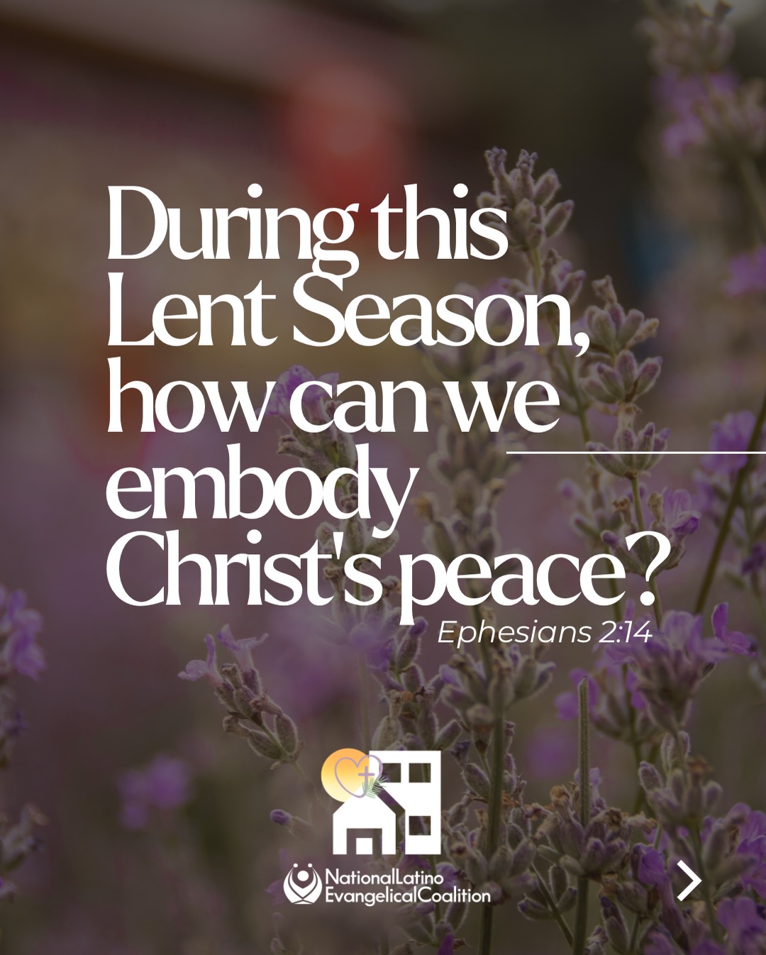 “For He Himself is our peace.” — Ephesians 2:14
Lent brings us back to the center of our faith.
At the cross, Jesus did not simply offer inspiration,
He accomplished reconciliation. He tore down the wall of hostility between God and humanity and formed one new people under His Lordship.
Because we have peace with God, we are called to embody His peace among one another.
This Lenten initiative invites us to pursue spiritual formation rooted in the gospel and to stand in prayerful, compassionate solidarity with immigrant communities carrying fear and uncertainty during this time.
This is not partisan.
It is biblical.
It is evangelical in the fullest sense, grounded in Scripture, centered on Christ, empowered by the Holy Spirit.
This Lent, may we be a household shaped by grace, strengthened by faith, and marked by peace.
➡️Join us and learn more here: https://lp.constantcontactpages.com/cu/LTRCoVG/LentInitiative?source_id=84e5b42c-75a4-4963-91cf-773241f5c605&source_type=em&c=xzxN3Lq0-4Hxg8Y3RgoJCirBHpnxDUeHj3GnsogK6vDPkM52vCil2w==
Pray. Be a Faithful Witness. Embody His peace.
#HeIsOurPeace #Lent #Faithfulwitness #nalecorg #BeyondTheDivision