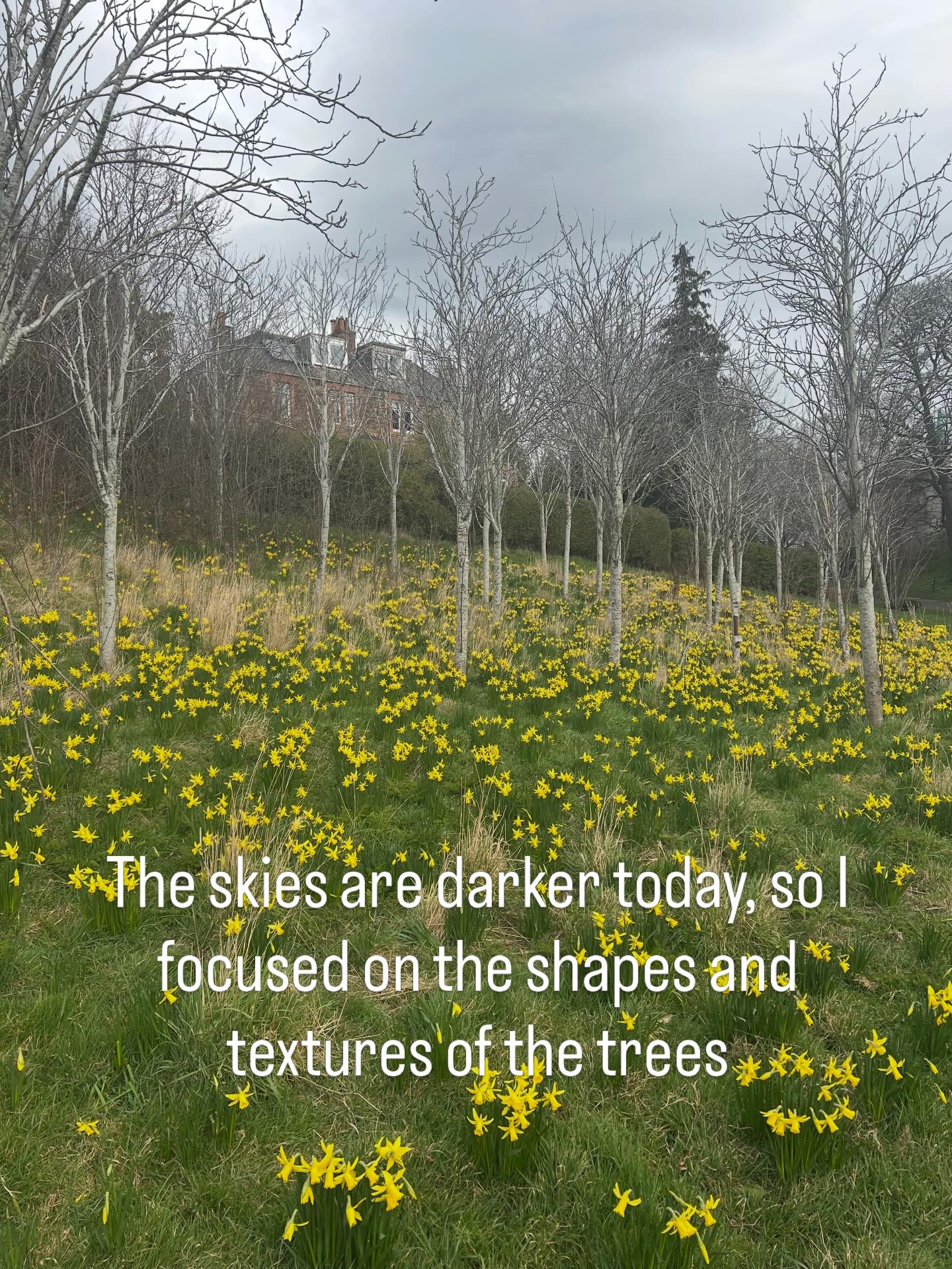 These were taken in a local park. Seek out the nature that’s all around you.
Now, look up and put your phone down.
#forestbathing #forestbathing🌲🌲🌲 #forestbathingscotland #forestbathingedinburgh