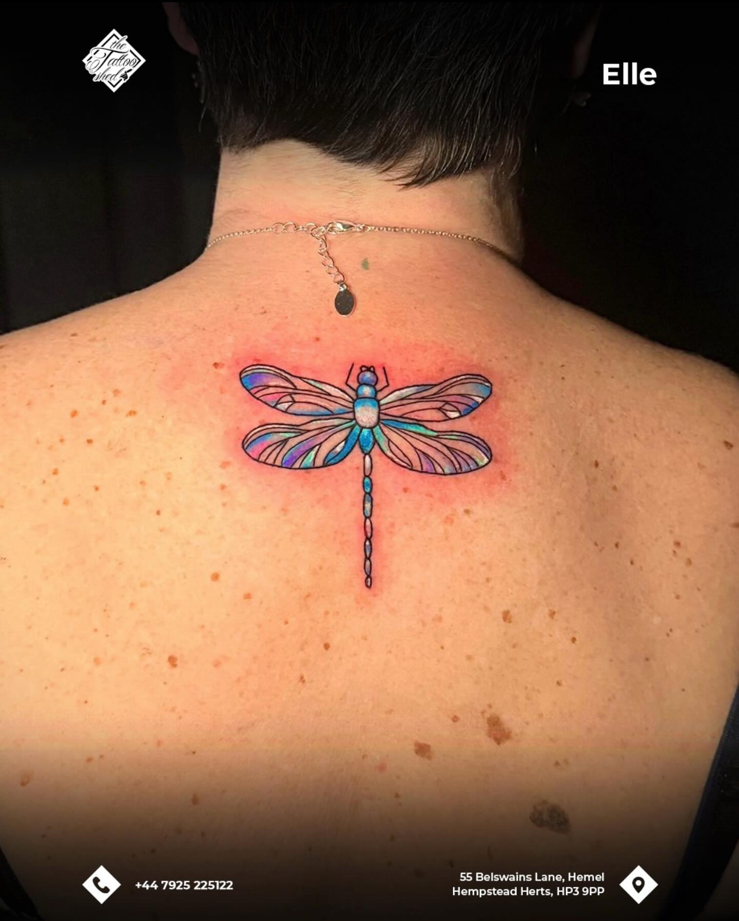by Elle (@ellz.tattz)
π Contact us to book in today 07925225122
π 55 Belswains Lane, Hemel Hempstead, Hertfordshire, HP3 9PP
#TattooShed #TattooParlour #tattoosofinstagram #Hertfordshire #HemelHempstead tattoo tattoolifestyle tattoos