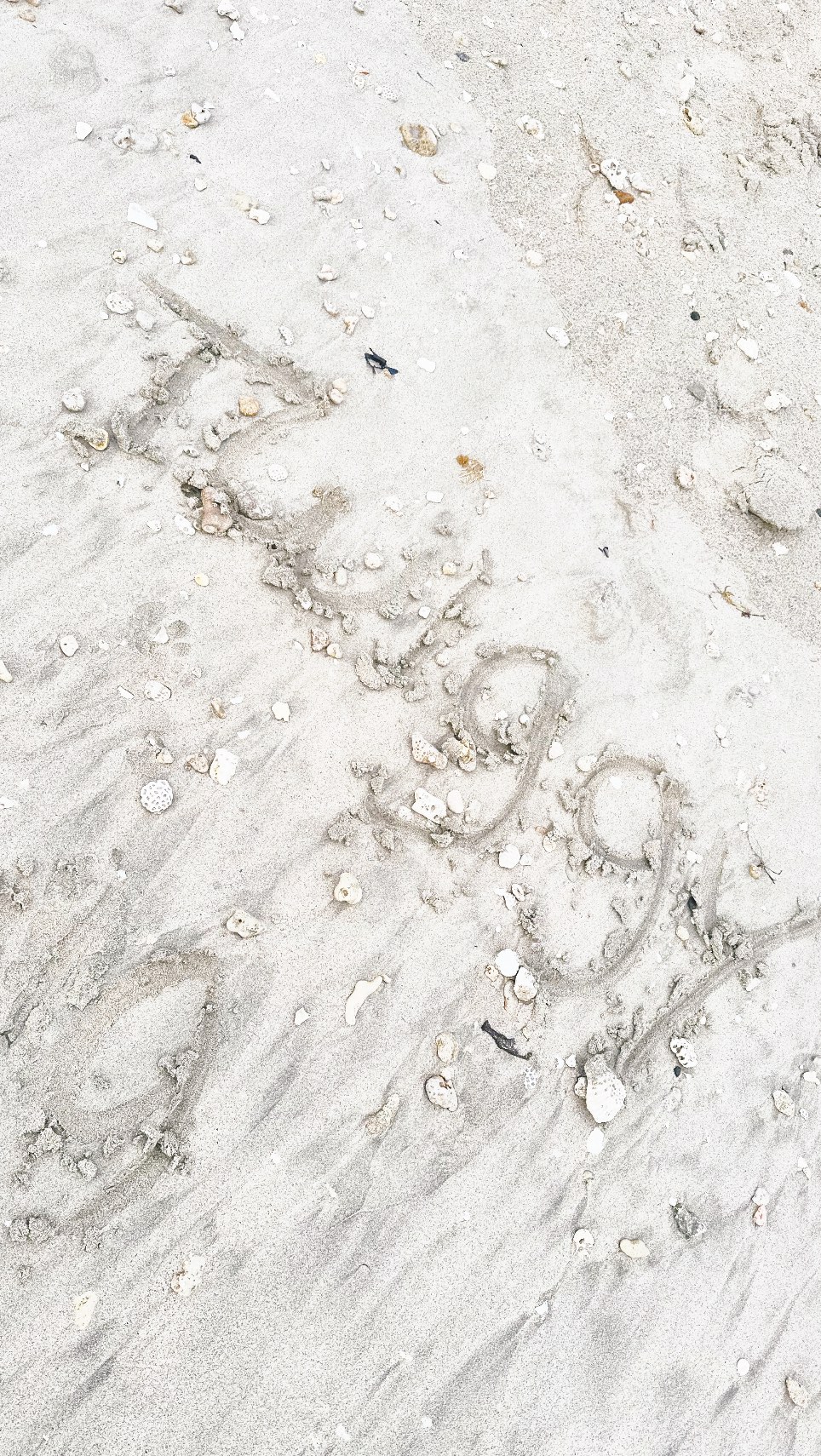 Looking expensive has nothing to do with how much you spend it’s about intention 😮💨
Fit. Balance. Details.
That’s the real luxury.
This week’s Styling with Twiggy is all about elevating your look without overspending… and without dressing like a walking billboard 😌
Welcome to Styling with Twiggy, where style meets personality.
Stay tuned for the next episode ✨
#StylingWithTwiggy #AffordableStyle #StyleConfidence #NYCCreator #ElevatedStyle