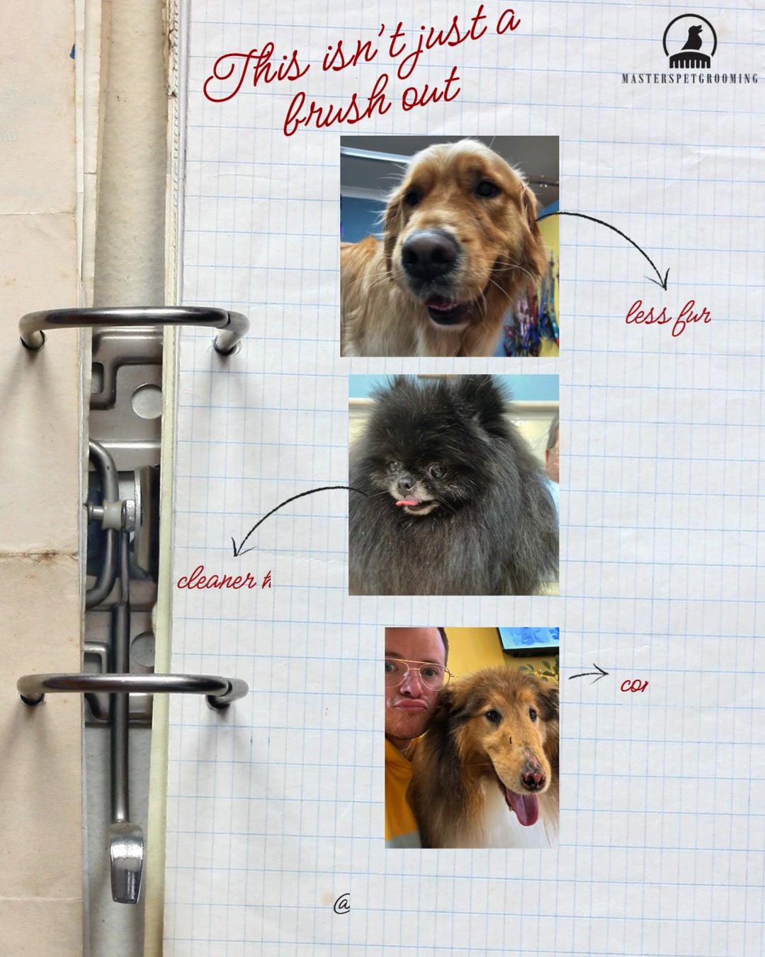 This isn’t just a brush out
If your dog is shedding more than usual or it’s been a while since their last visit, now is the time to rebook. At Masters Pet Grooming, our premium de-shedding treatment is designed to deeply cleanse the coat while safely removing stubborn undercoat, restoring comfort, enhancing coat health and significantly reducing shedding at home. Left too long, excess undercoat can lead to matting, irritation and unnecessary discomfort — something we believe should always be prevented with the right care. With a refined, gentle approach and a focus on quality, this is maintenance done properly. Appointments are limited each week and fill quickly, so we recommend securing your booking in advance. ✨🐶
#doggrooming #doggroomer #doggroomersofinstagram #petgrooming #dogsofinstagram
#hygienetidy #undercoatremoval #deshedding #dogmaintenance #dogcare
#freshdog #cleandog #fluffydog #healthydog #happydog
#melbournedogs #melbournedoggrooming #pointcook #pointcookdogs #werribee
#luxurydoggrooming #petspa #dogspa #premiumpetcare #dogwellness