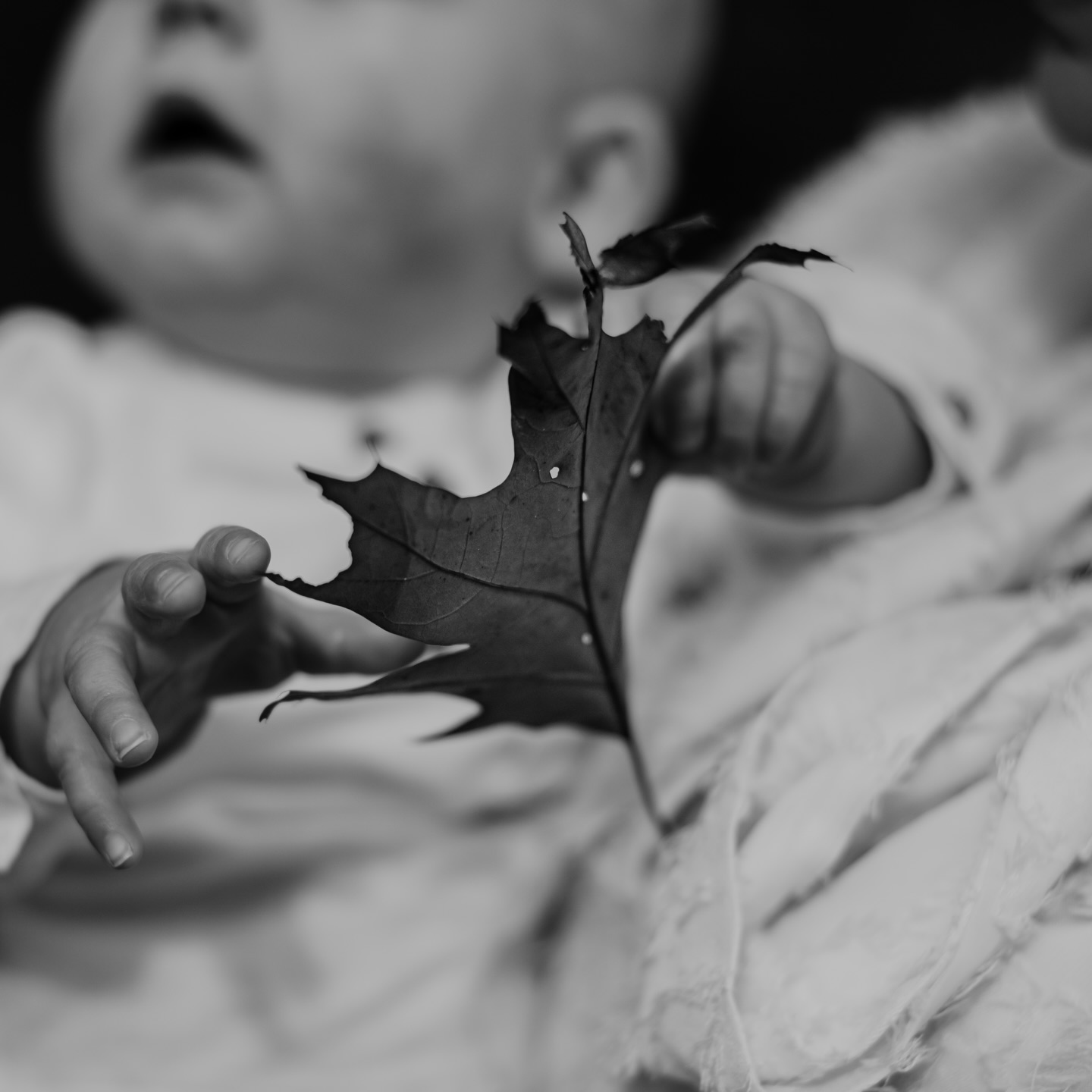 Wanneer je deze foto in je galerij ziet, is het misschien niet meteen degene die je zou kiezen voor aan de muur.
Maar voor mij is dit wel een belangrijk beeld.
Het is een tussenmoment.
Een detail.
Een stukje van het verhaal dat anders misschien vergeten wordt.
En precies daarom werk ik niet met pakketten of losse beeldkeuzes.
Ik wil niet dat je moet kiezen tussen momenten.
Niet dat je achteraf extra moet investeren om het verhaal compleet te maken.
Wanneer je bij mij een shoot boekt, krijg je het hele verhaal.
Zonder kleine lettertjes. Gewoon alles.
Is dit ook iets waar jij blij van wordt?
Mijn agenda is open 🤍
#verhalendefotografie
#puurmomenten
#fotograafettenleur
#gezinsfotografie
#studiofemme