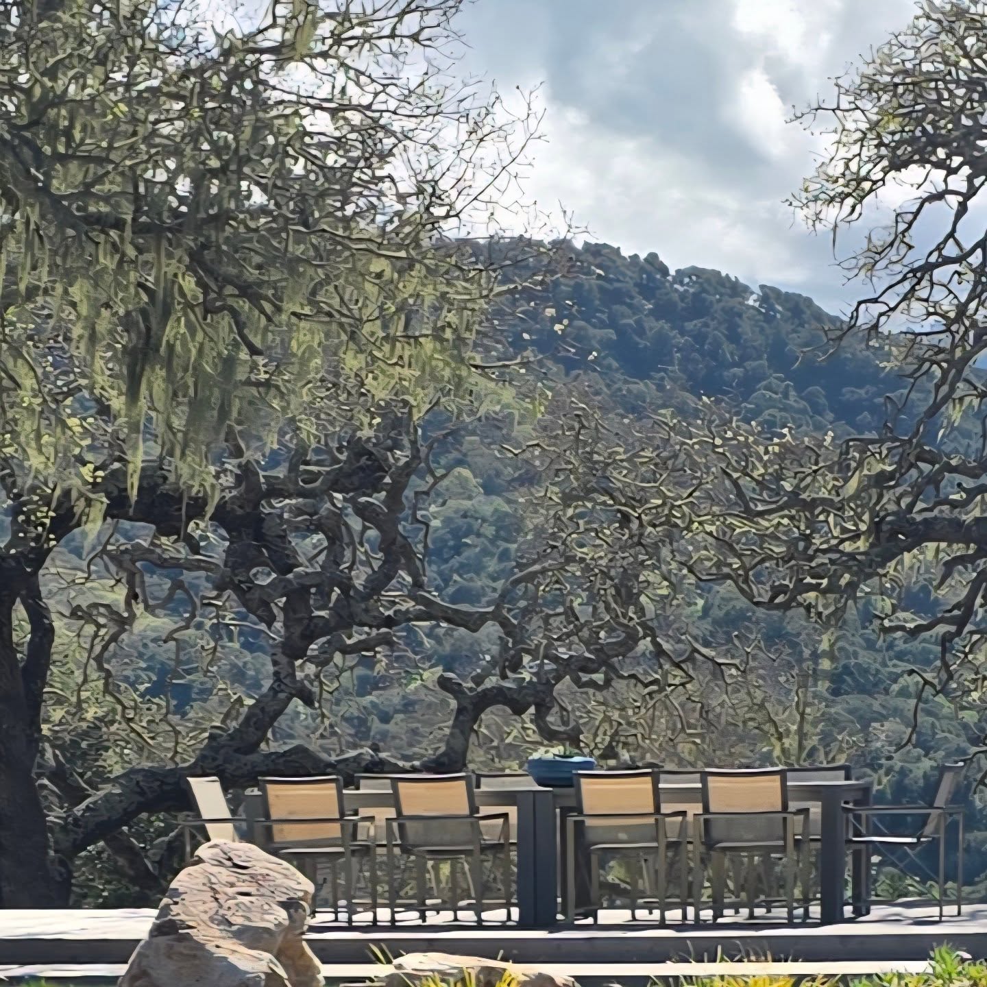 Checking up on a recent installation in #CarmelValley 😎
#modernarchitecture
#LandscapeBuild
#Carmelpointlandscapes
#Gardens