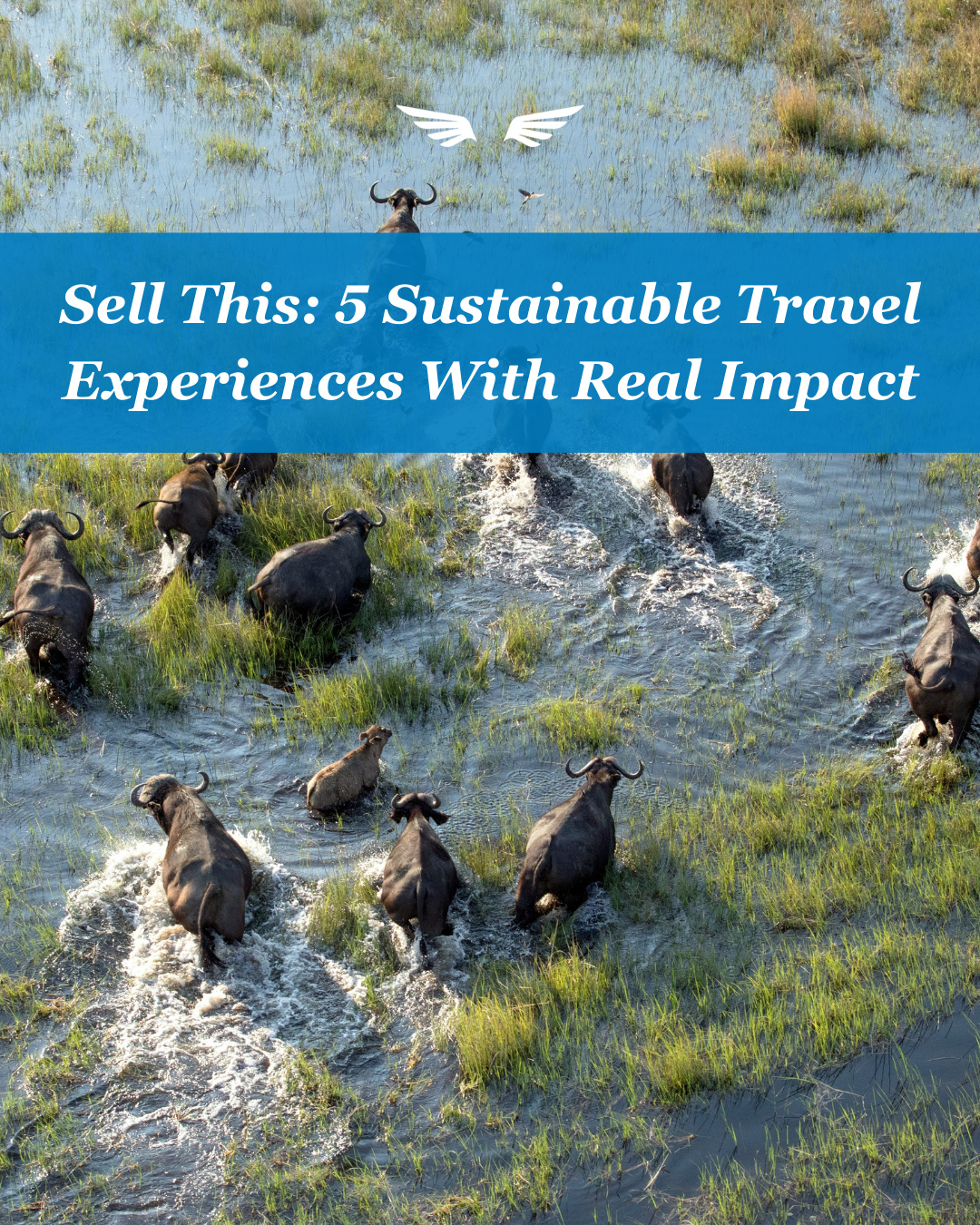 If sustainability isn’t part of your sales strategy yet, it should be.
These five experiences deliver impact and premium positioning:
Wildlife Conservation Safaris in Botswana: Position this as “luxury with legacy.” Clients aren’t just going on safari — they’re helping preserve it.
Community-Based Tourism in Peru’s Sacred Valley: Pair this with a high-end lodge stay. The contrast between refined comfort and grassroots experience creates a beautifully balanced itinerary.
Regenerative Farm Stays in Italy: Market this as “sustainable indulgence.” It’s experiential, delicious, and environmentally responsible.
Indigenous-Led Cultural Experiences in Australia: Frame this as access clients cannot arrange on their own. Authenticity and insider access justify premium pricing.
Marine Conservation Expeditions in the Galápagos: Lead with exclusivity and scientific access. Clients love knowing their presence directly funds preservation.
Save this for your clients next trip!
#travel #travelblog #sustainability #environment #adventure