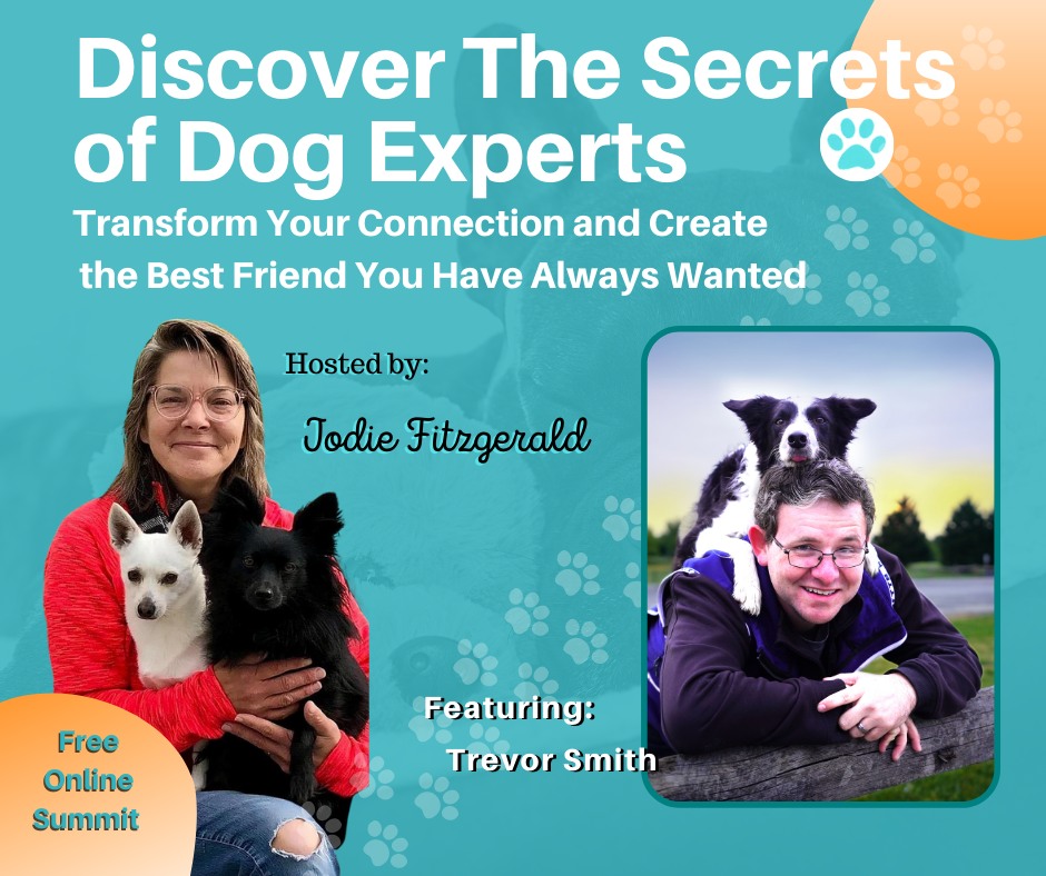 Trevor Smith - Discover The Secrets of Dog Experts
Have a listen to Trevor and SUBSCRIBE to my Youtube Channel.
Trevor Smith is a Certified Professional Dog Trainer and a Certified Canine Fitness Trainer combined with his passion for dog sports, he is dedicated to helping people grow closer to their dogs.
He shared how beneficial and fun sports are for you and your dog and explained activities to try at home, that are not only fun, they are great for your dogs physical health too.
https://youtu.be/HDppRHH9VSQ