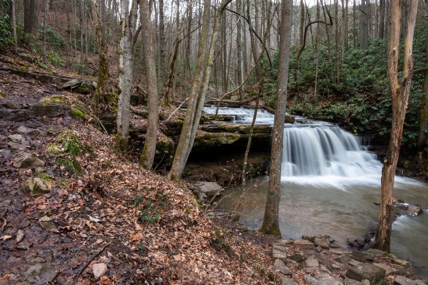 Laurel Run Falls with trail.
Camera: FujiFilm XT-5
Lens: FujiFilm 16mm
No filter
#waterfalls #landscapesphotography #fujifilmx_us #tennessee #outdoors