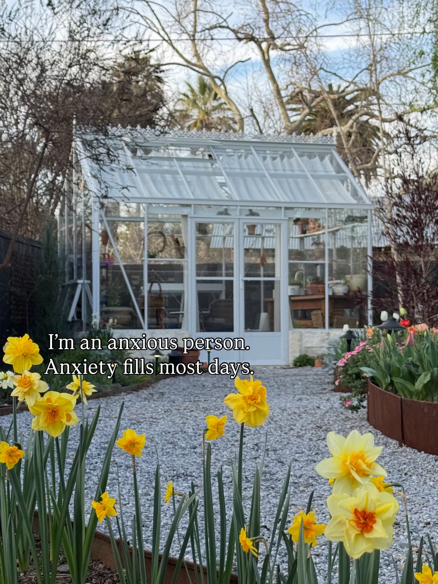 I’ve talked about anxiety before. I play the comparison game a lot, often forgetting to look at what I myself have. I often get so wrapped up in work, I forget that everything doesn’t have to be a race. More than half the time I can’t even tell you what I’m anxious about. Anxiety is a weird pressure on your chest and your mind racing as though you forgot the most important task.
You see lots of laughs and smiles on my page, I try to keep everything as lighthearted as possible. Laughing really is a good escape for me, but the garden is a better one.
