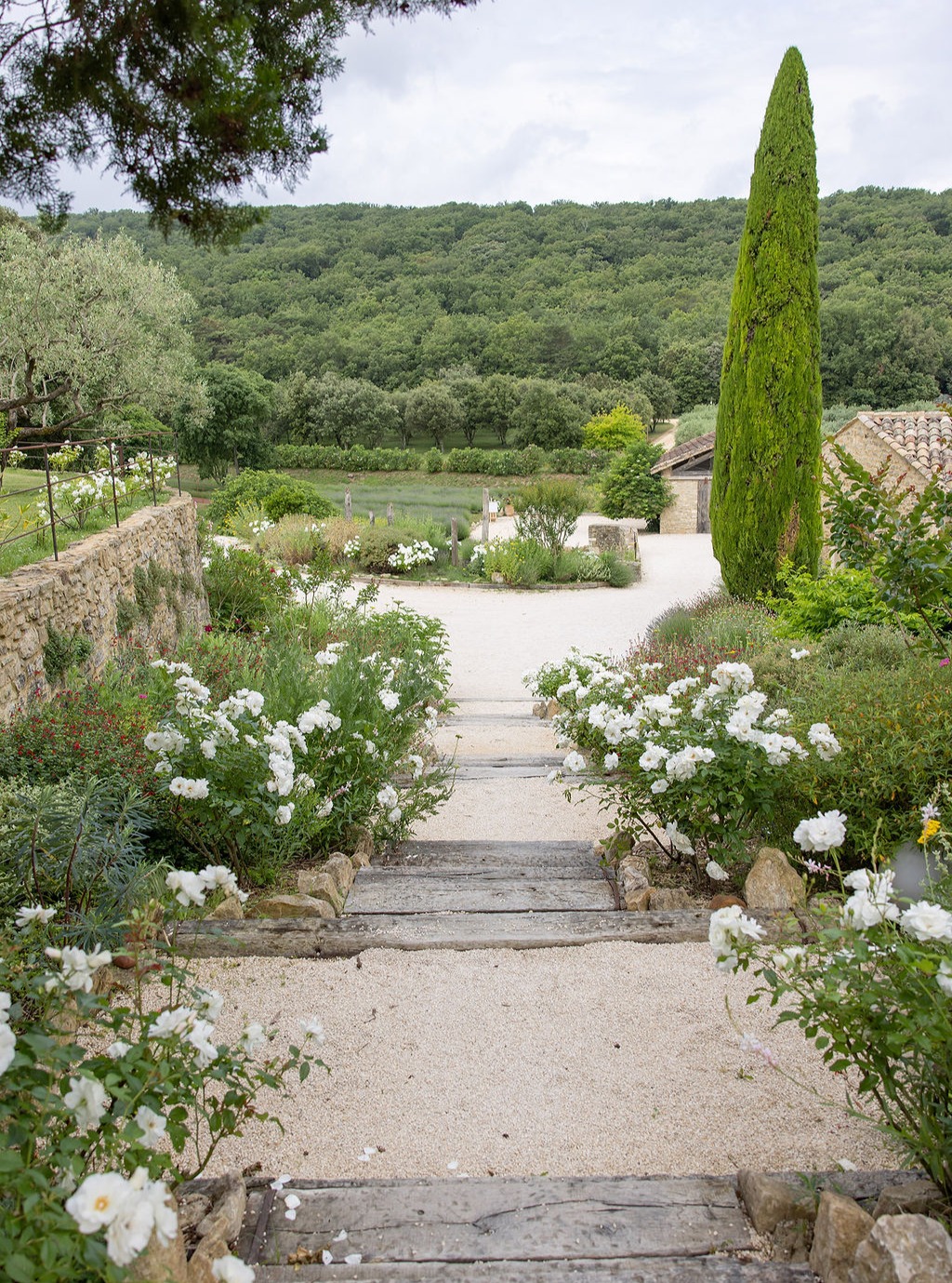 The arrival.
White roses.
Cypress trees.
Endless Provençal hills.
Before the vows.
Before the celebration.
There is this quiet moment —
when you realise you’ve arrived somewhere timeless.
Domaine de Valbonne
Provence, France
Photographer @mariecalfopoulosphotography
#destinationweddingfrance #domainedevalbonne
#weddinginprovence
#provenceweddingvenue
#luxuryweddingvenue
#frenchwedding
