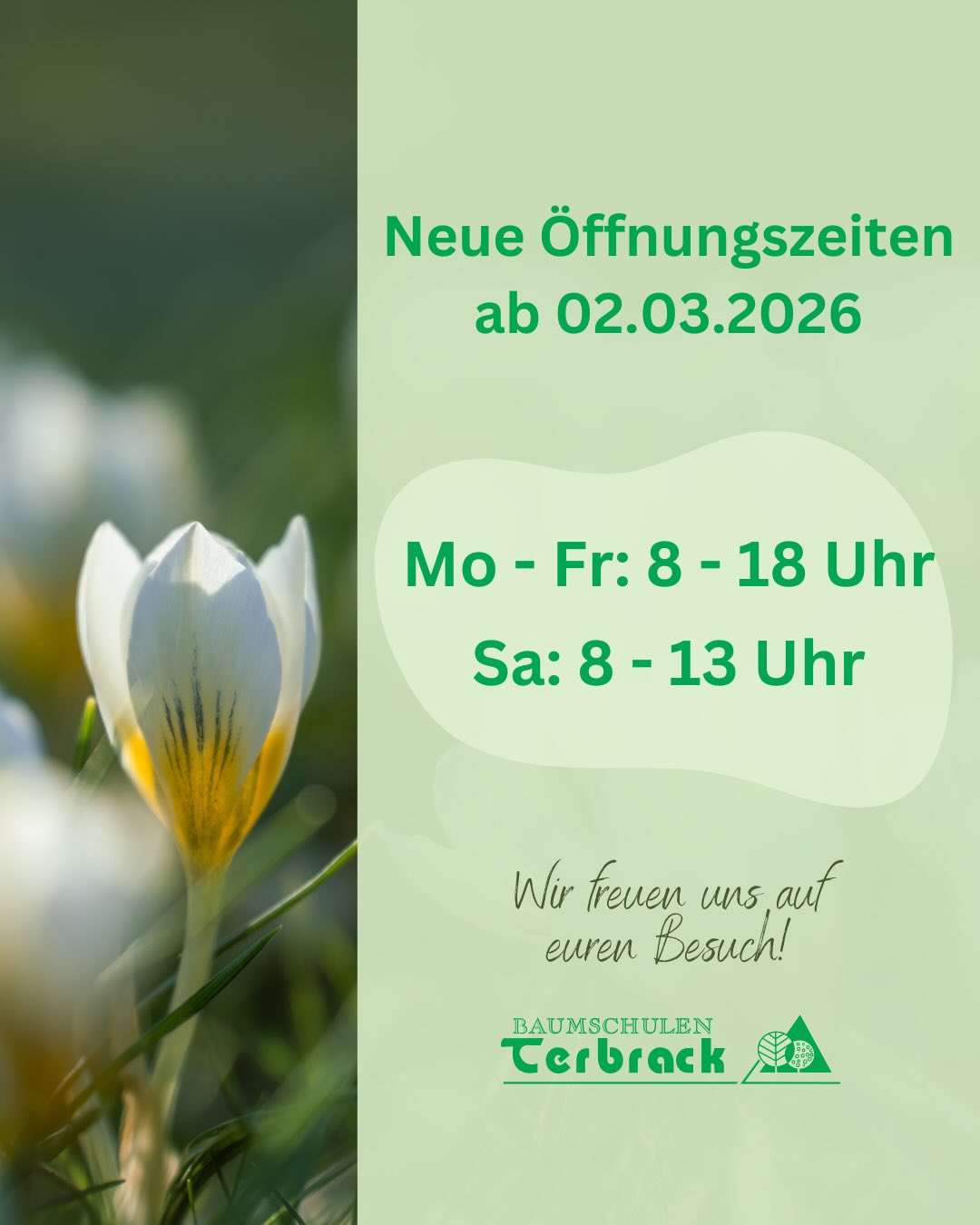 🌿 Neue Öffnungszeiten ab dem 02.03.2026
Mo–Fr: 8–18 Uhr
Sa: 8–13 Uhr
Die Gartensaison startet – wir freuen uns auf euren Besuch! 🌸
#Baumschule #Gartenliebe #Frühling #pflanzen