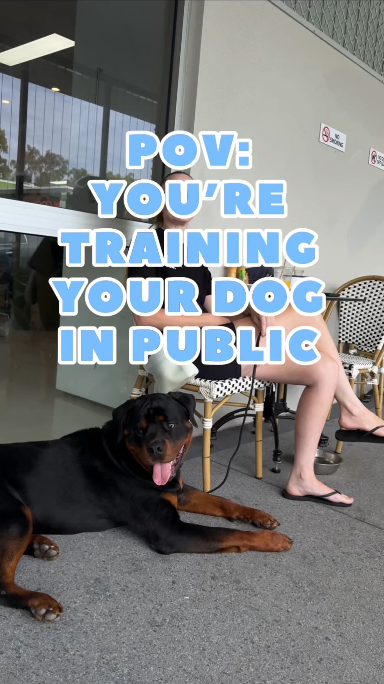 Someone did in fact reach for Archer after this video 🤣
#dogdays #dogtrainerlife #rottweiler