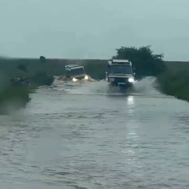 Rainy Season in the wild Savannah with Planet Earth Expedition
#exploreourearth #safaritravel #tanzaniasafari #visitserengeti