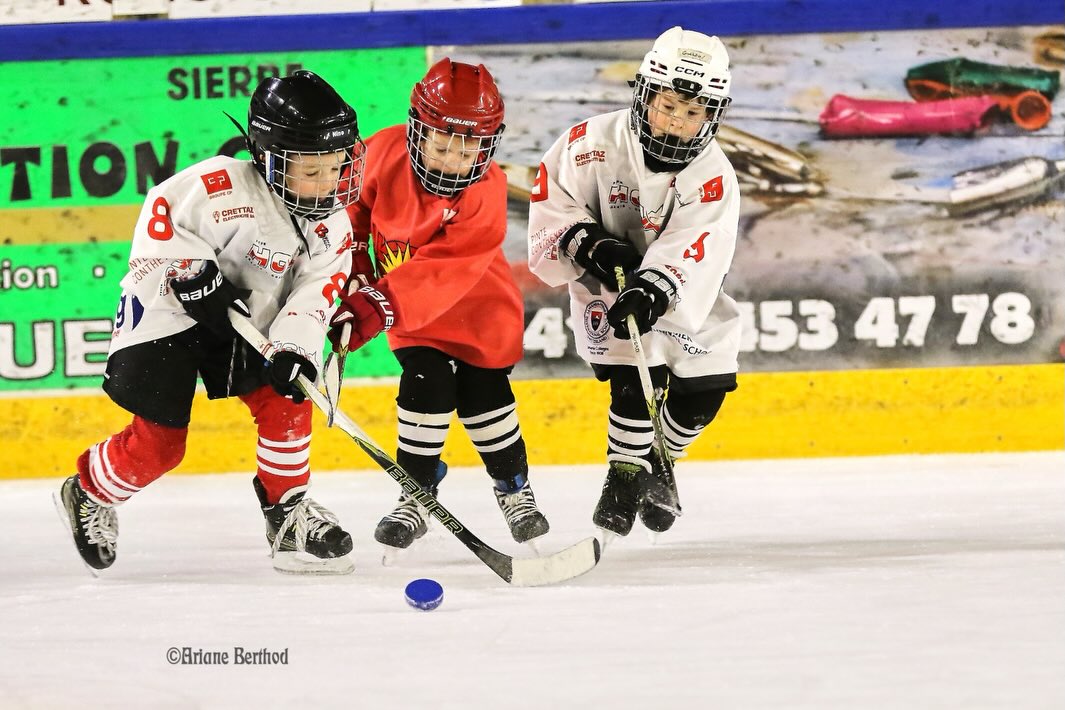 Retour en images sur le tournoi U7 en date du 07.02.26 🏒🥅⛸️
Sierre vs Sierre vs Martigny vs Monthey
Déjà de vrais Champions! 💪🏽☀️
📸@ariane_photos_hockey
#mouvementjuniorshcsierre #u7 #sierre #futurhockey