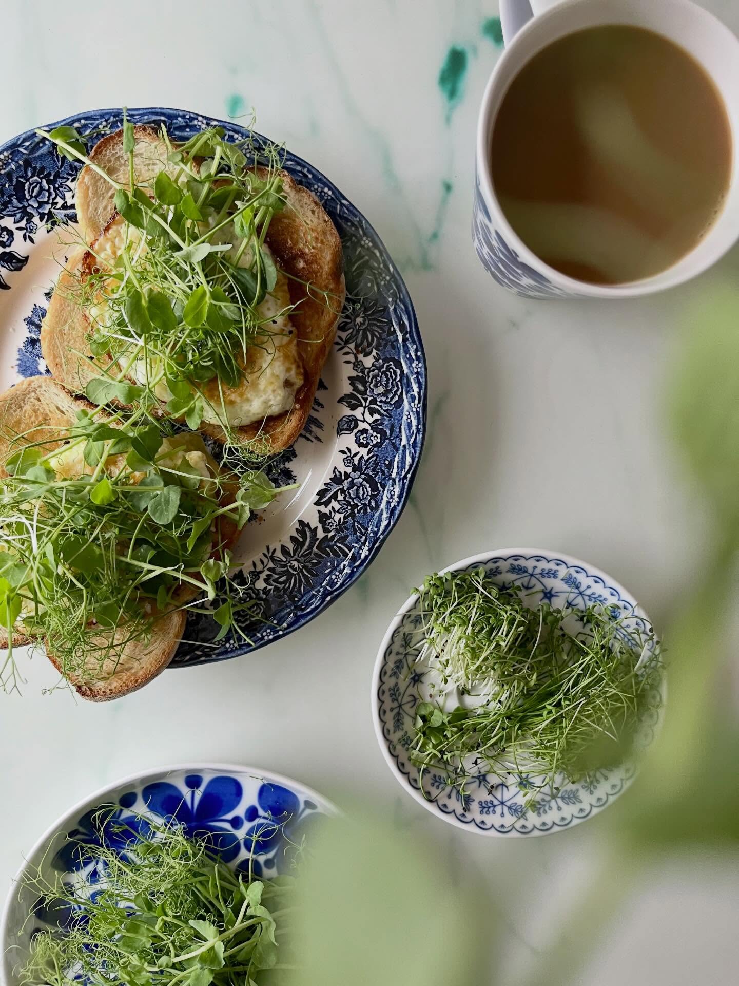 Ärtskott är milda, krispiga och enkla att älska. Perfekta på smörgåsen, i salladen eller som en grön topping på frukosten.
Ett enkelt sätt att smaksätta med nytta, varje dag 🌱
#ärtskott #smaksättmednytta #gröntpåmackan #munkagrodden