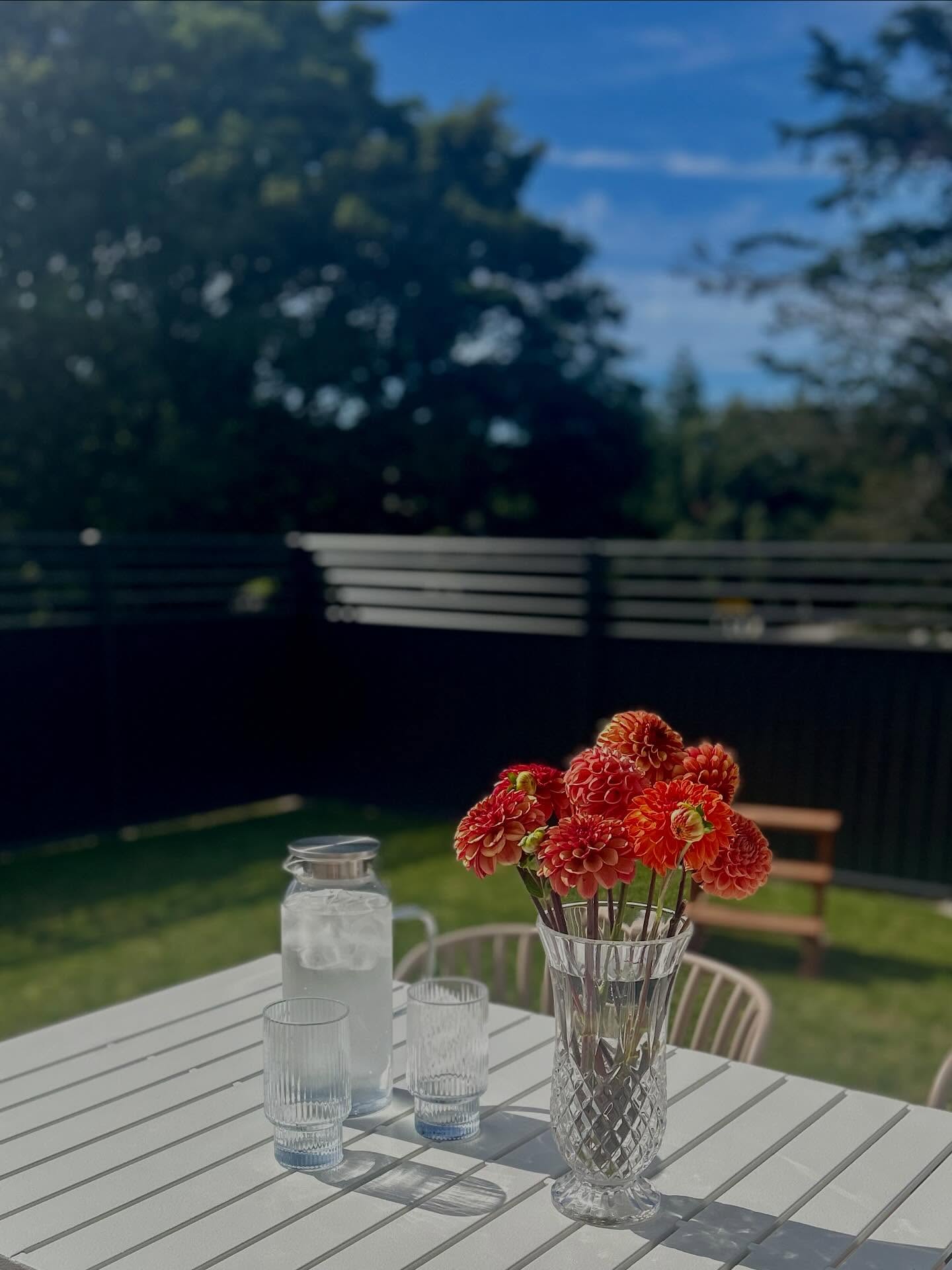 Enjoying these summer days and the beautiful freshly cut flowers, ready to welcome our next guests! 🌿🌼 @brookemariecameron
