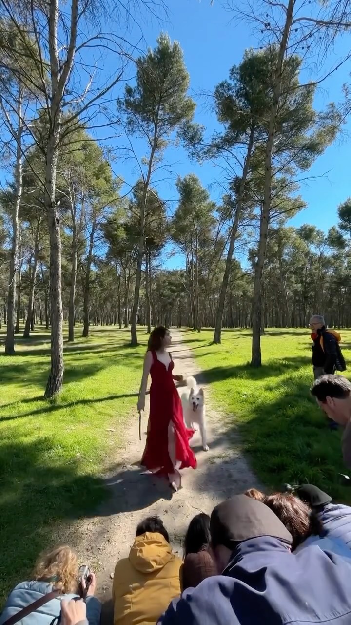 Por fin llegó el buen tiempo a Madrid y lo aprovechamos para ir al Pinar del Cerro de los Ángeles junto a nuestras modelos, humana y perruna.
Realizamos un ejercicio divertidísimo en el que exploramos las posibilidades de fotografiar el movimiento, corriendo junto al perro a través de los caminos del pinar. Además, trabajamos la integración entre la luz natural del sol y la luz de flash, buscando equilibrio, ritmo y energía en cada imagen.
Gracias a @l3sin
#tipsdefotografia #clasesdefotografia #fotoscreativas #tutorialfotografia #fotografia