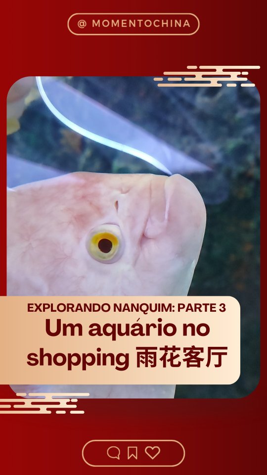 O que será que tem no shopping 雨花客厅?
Edição: Valentina Curi Hage - @valentinacurihage