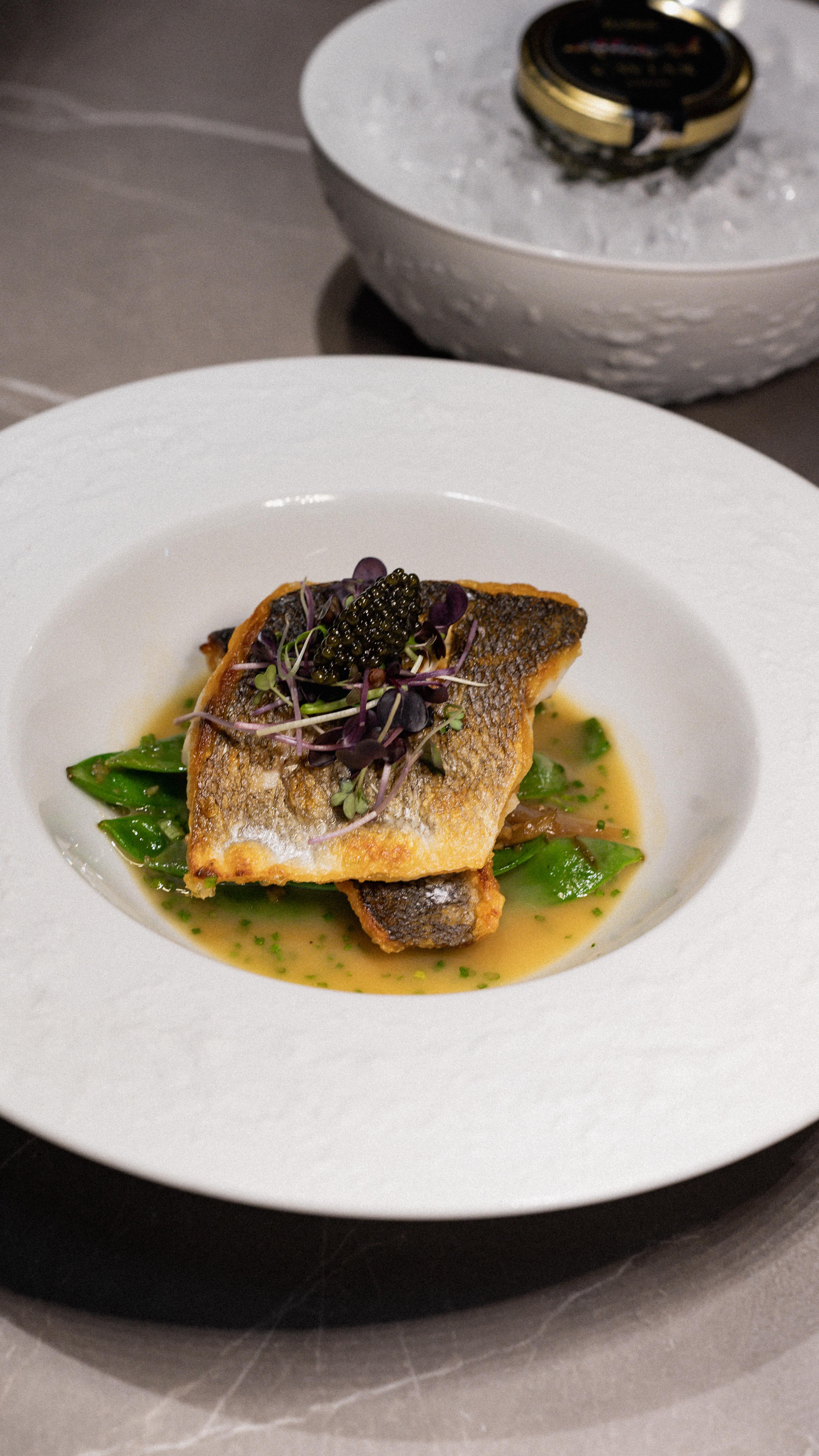 Mořský vlk 🐟
~ Fazole, saké beurre blanc & kaviár z jesetera Oscietra
@caviarhouse_czsk 🤝
STONE kolekce od @g.benedikt_1882 🪨🍽️
Chefs:👨🏻🍳
@dima_pavliuk_
@tuananhdo2018