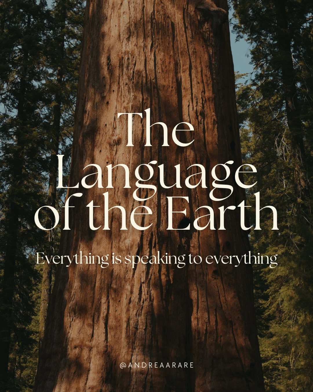 🌳 Everything is Speaking to Everything 🌳
The trees whisper. The sky responds.
Animals, stars, shadows are all in dialogue.
🌎 The Earth is not a resource, but as a relative.
🌀 Everything is in sacred exchange.
These are not mere metaphors, they are the living truth in many ancestral traditions.
🕸️ You belong to this web.
You are not only observer, you are a participant.
Everything is speaking to everything.
And you are being spoken to, too. 🌿
#earthwisdom #natureconnection #everythingisconnected #mothernature #cyclicalliving